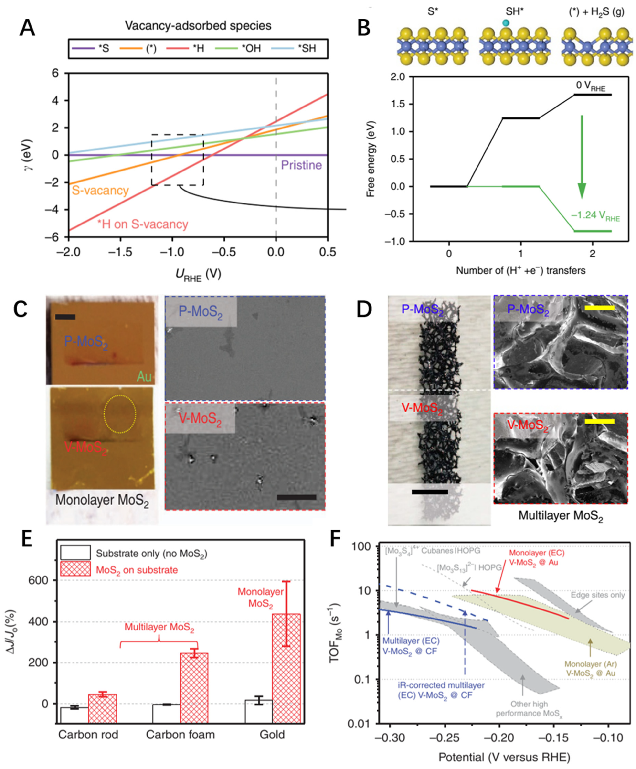 Catalysts 13 00120 g008