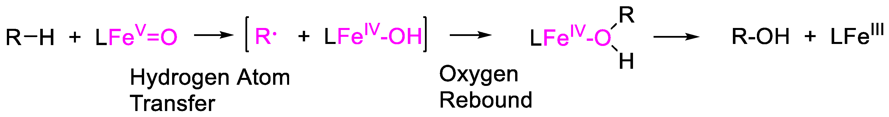 Catalysts 13 00121 sch002 Catalysts 13 00121 sch002