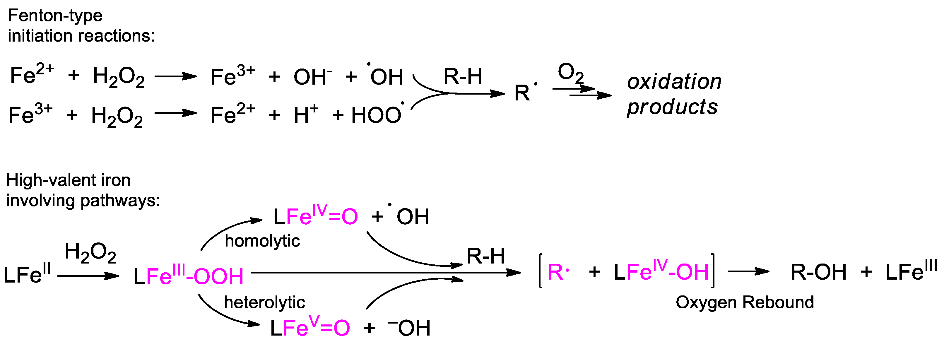 Catalysts 13 00121 sch007 Catalysts 13 00121 sch007