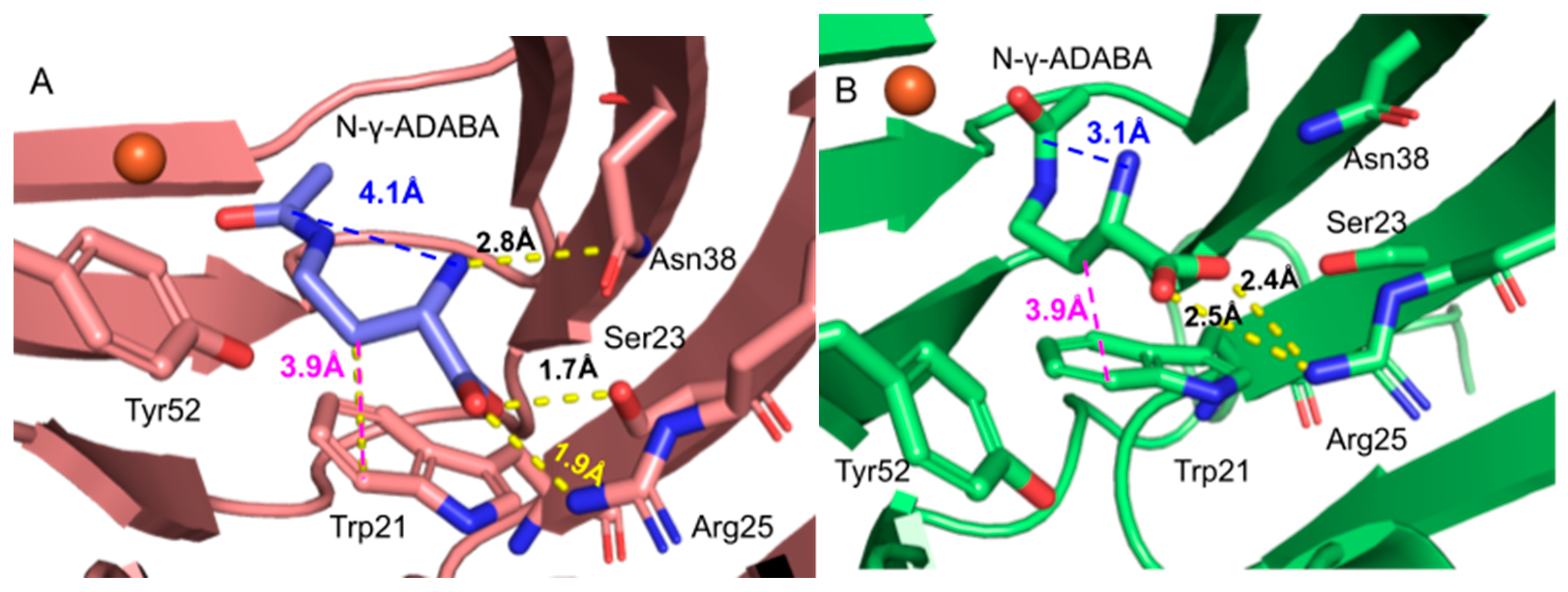 Catalysts 13 00124 g011