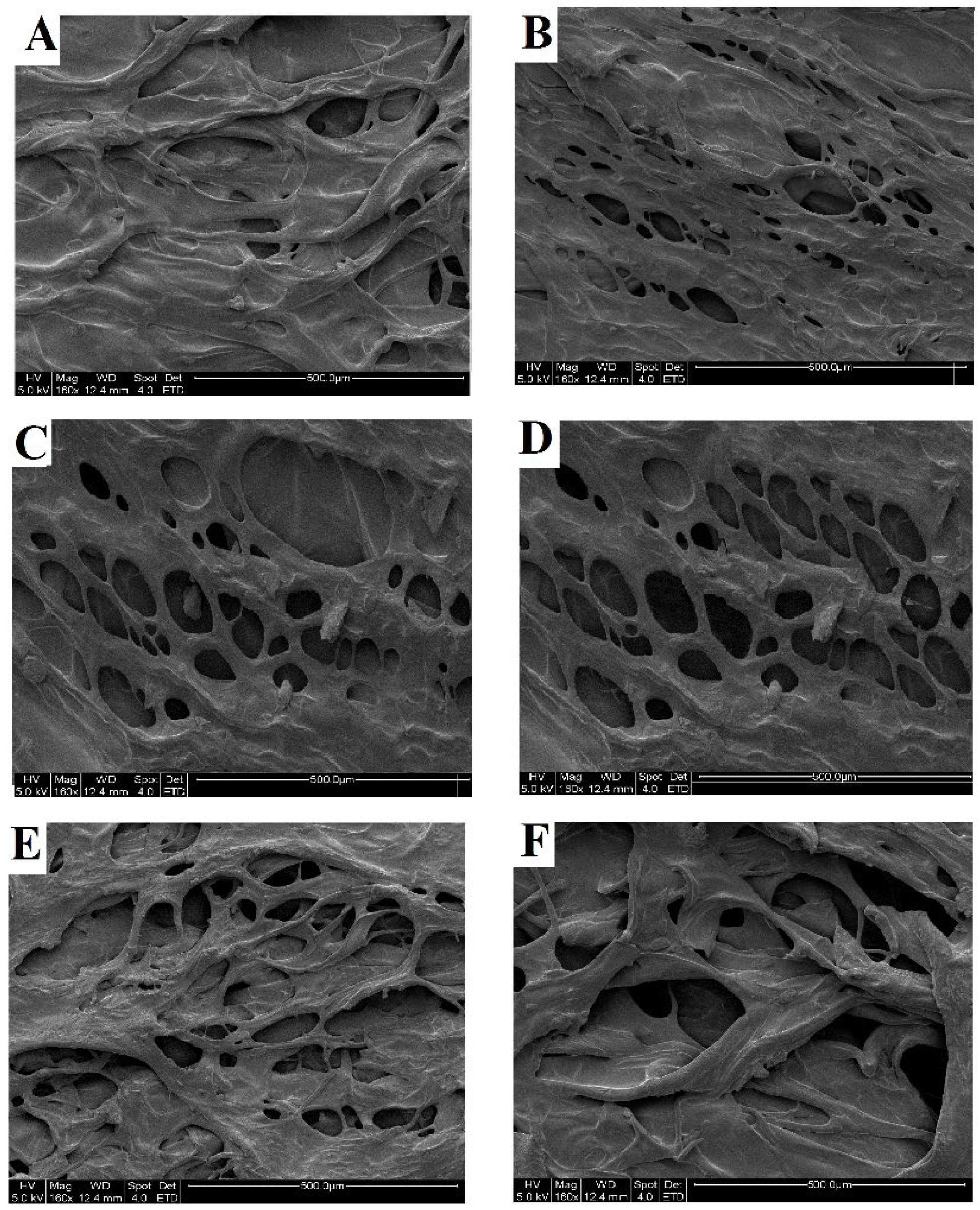 Catalysts 13 00125 g005