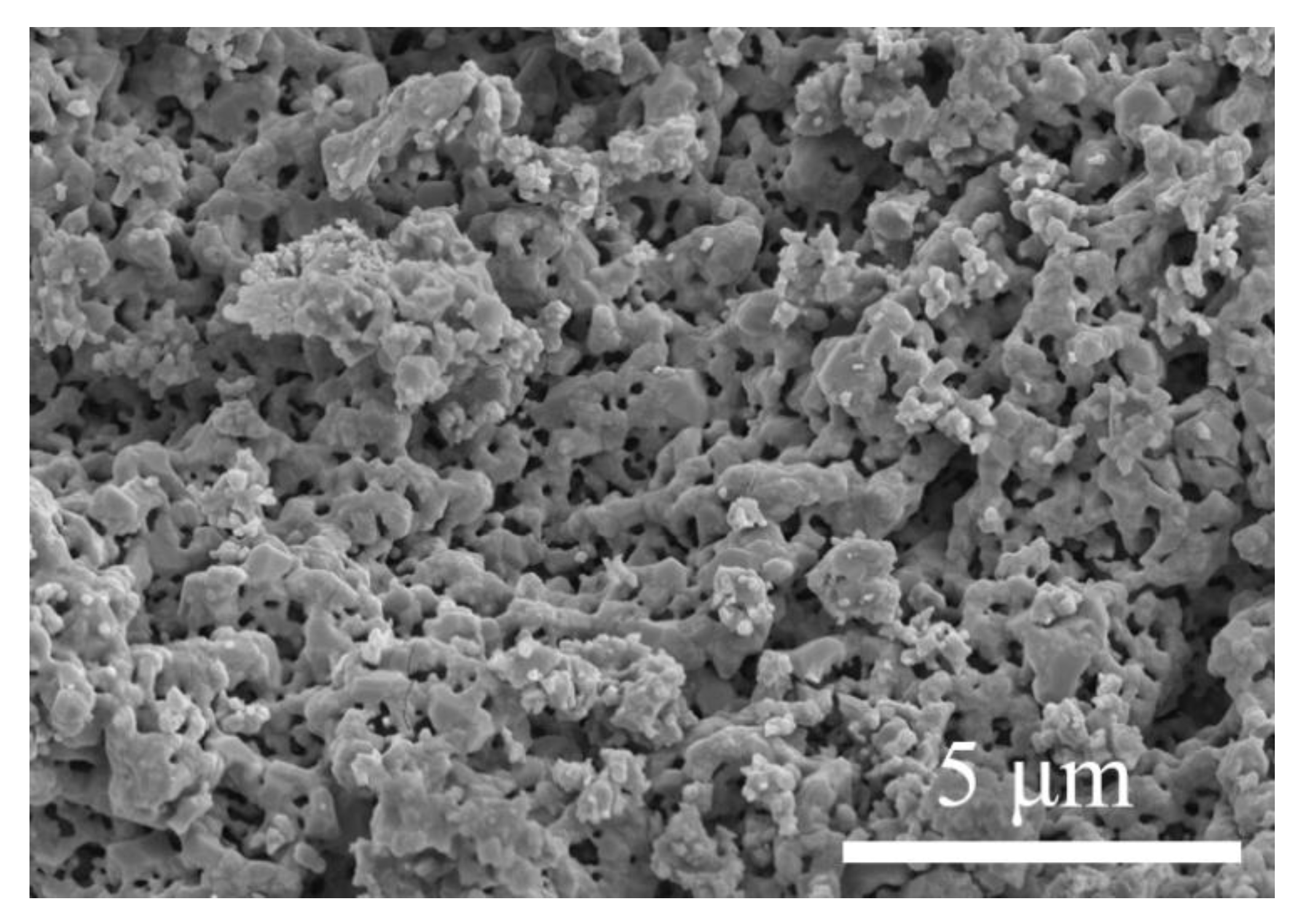 Catalysts 13 00131 g010