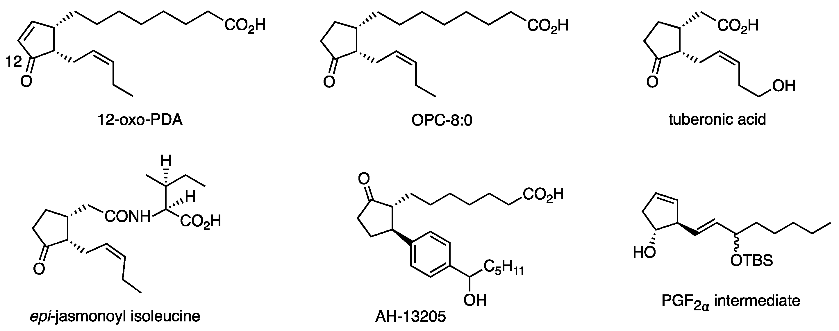 Catalysts 13 00132 g006