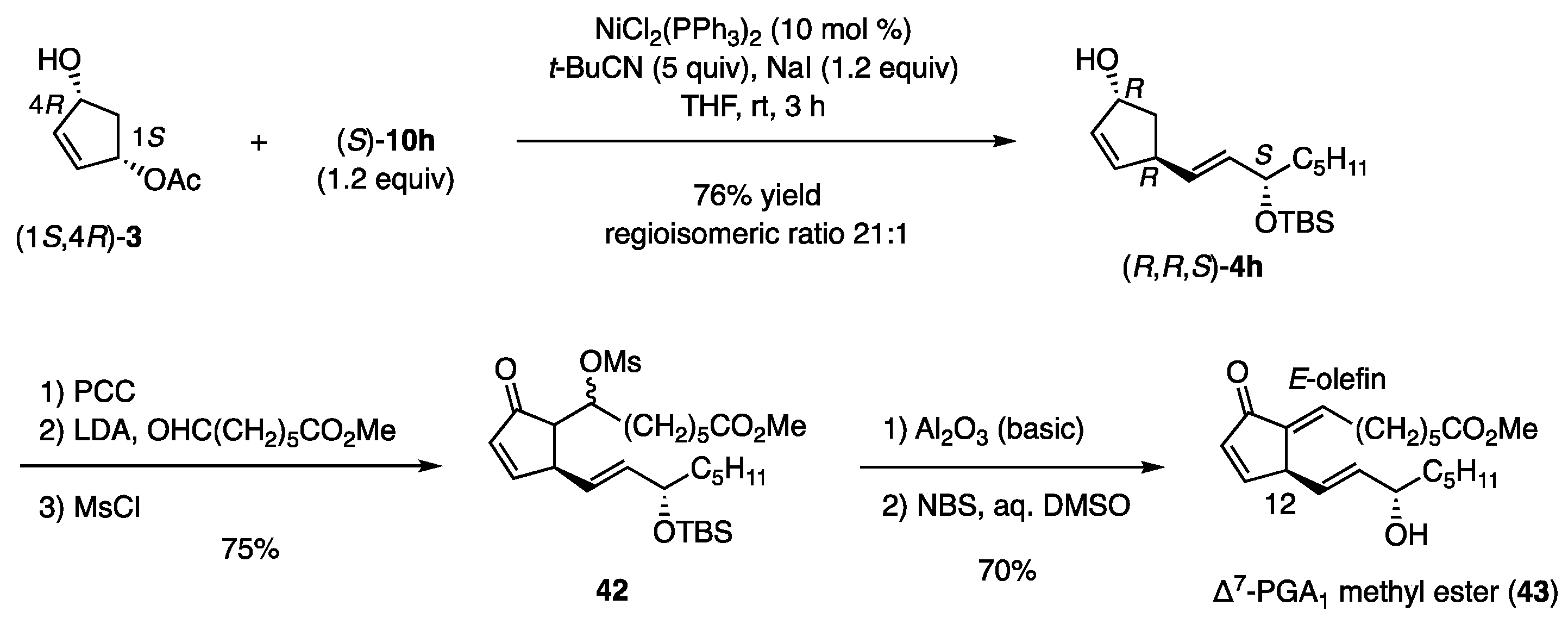 Catalysts 13 00132 sch010