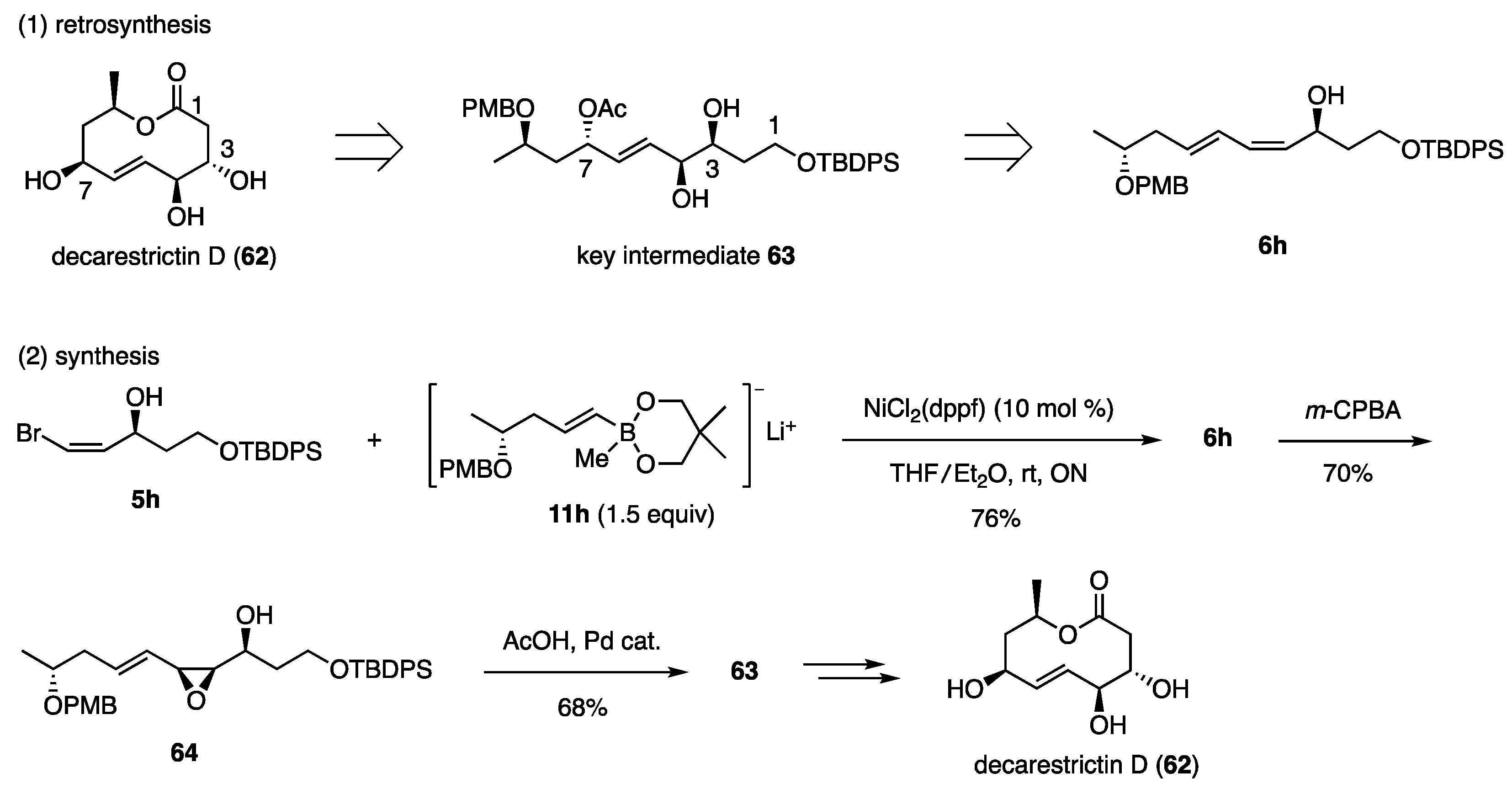Catalysts 13 00132 sch015