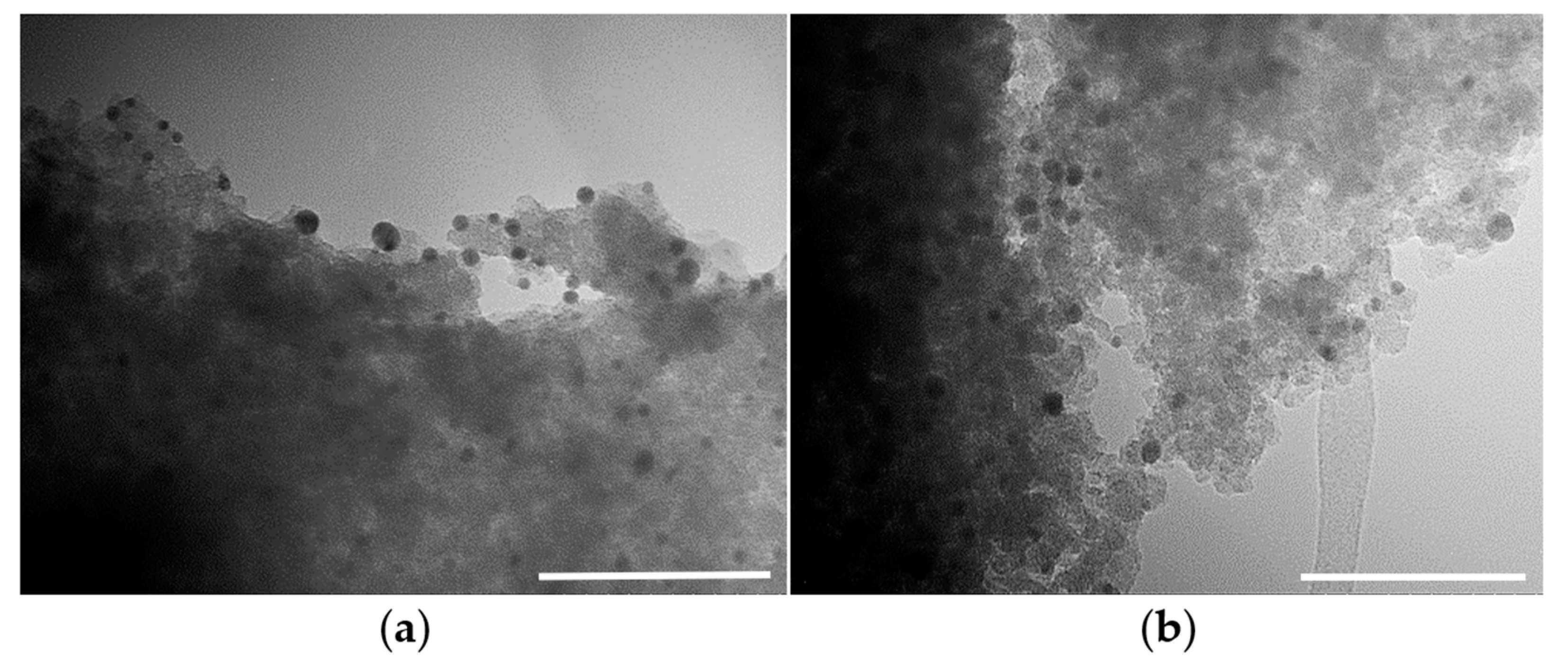 Catalysts 13 00133 g005