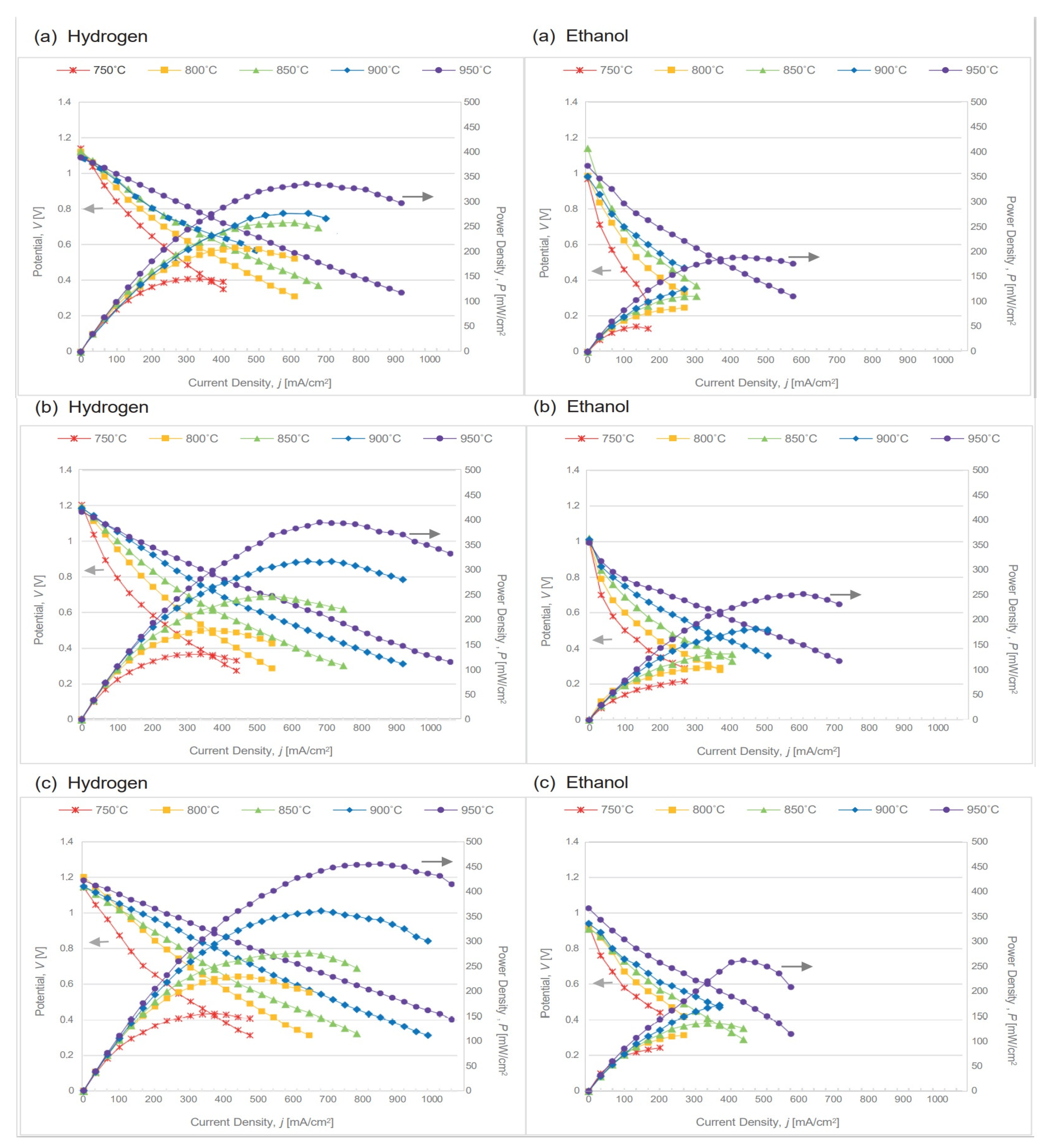 Catalysts 13 00134 g007