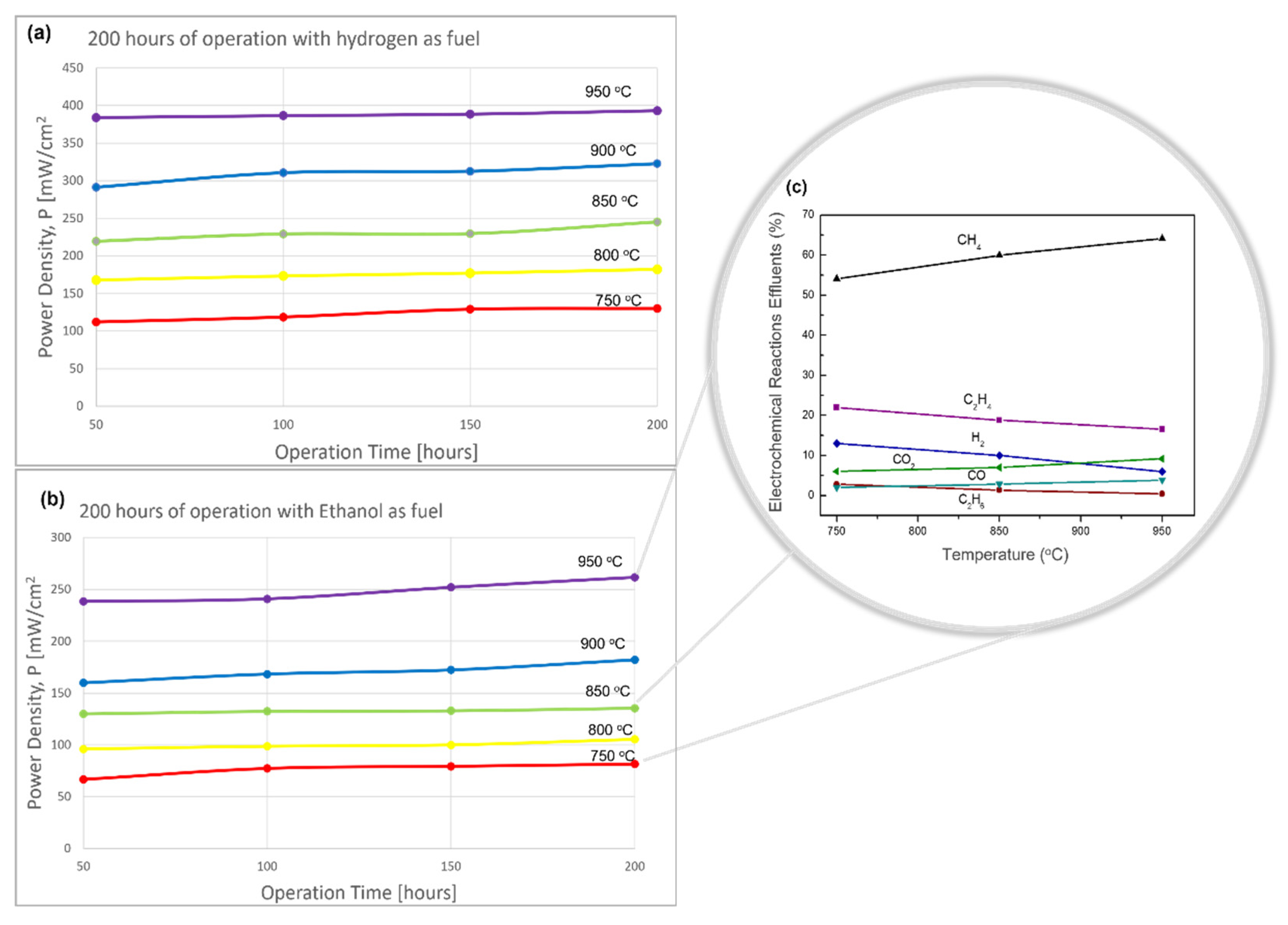 Catalysts 13 00134 g008
