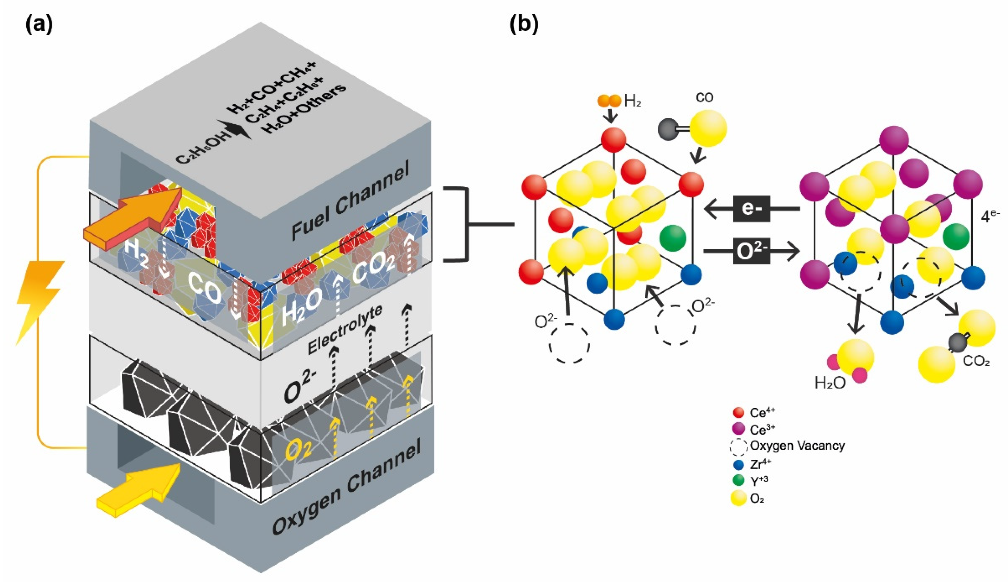 Catalysts 13 00134 g009