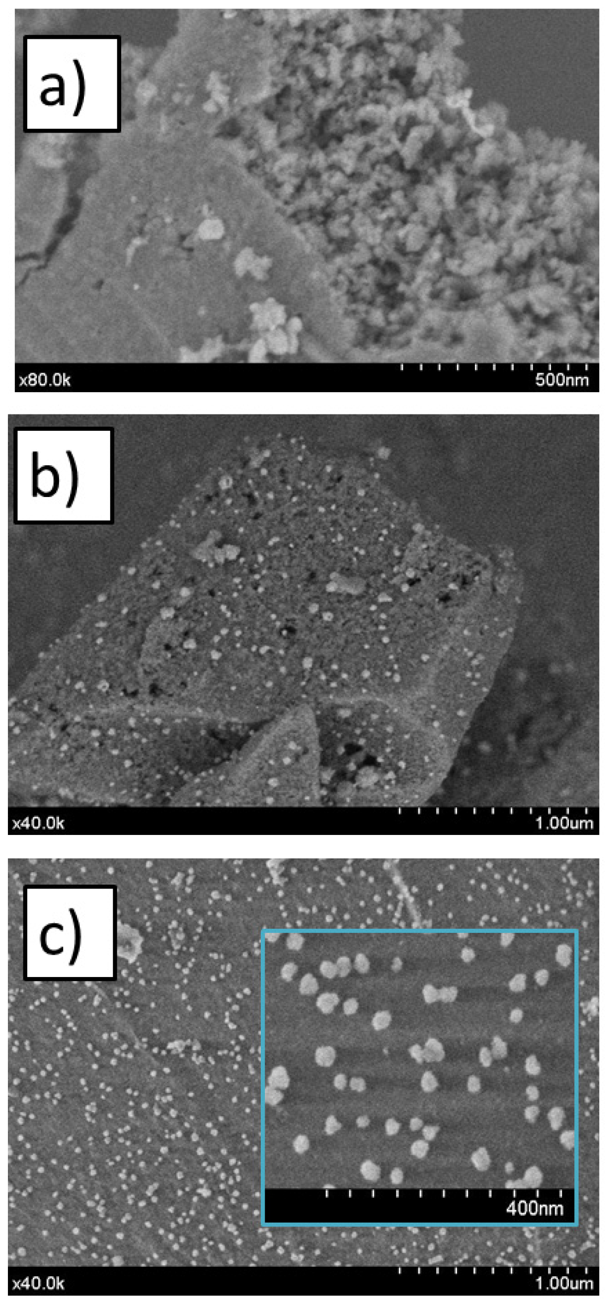 Catalysts 13 00142 g002 Catalysts 13 00142 g002