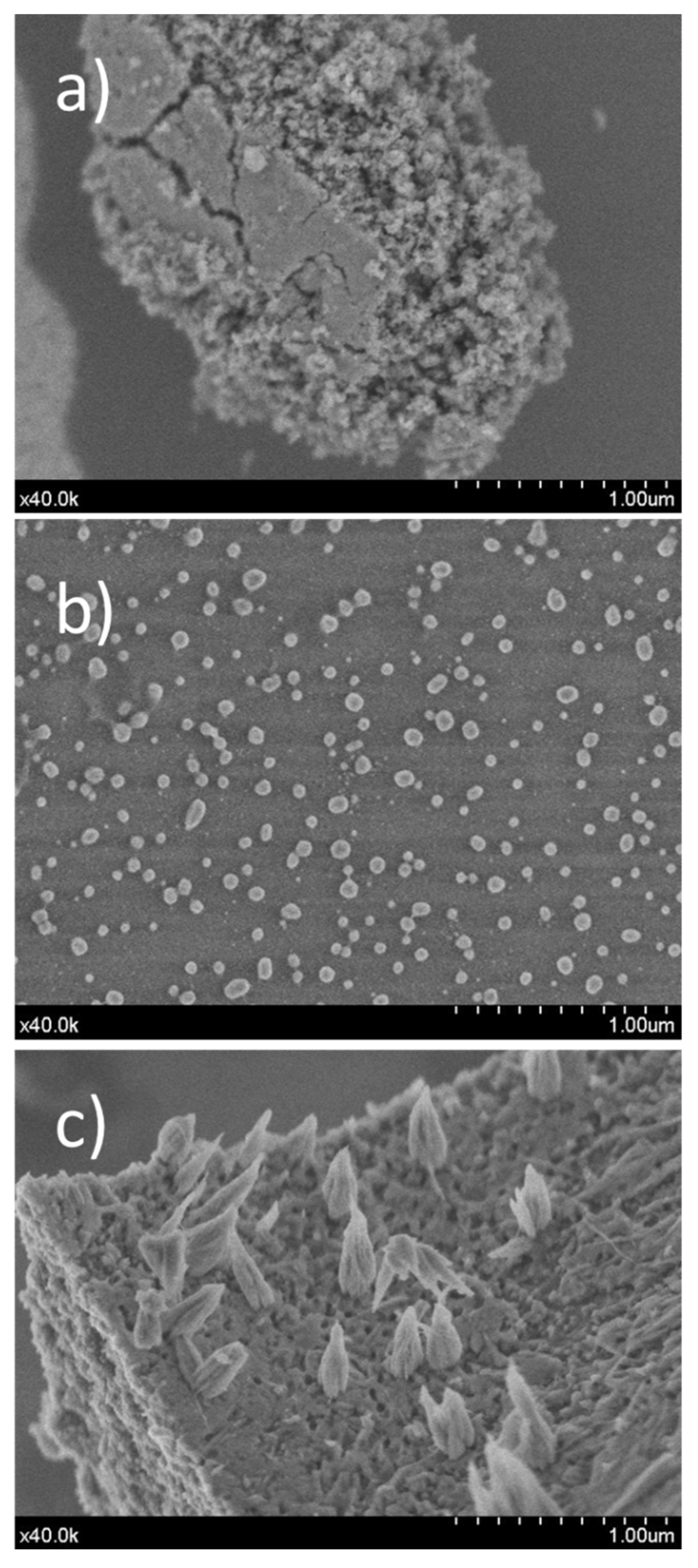 Catalysts 13 00142 g008 Catalysts 13 00142 g008