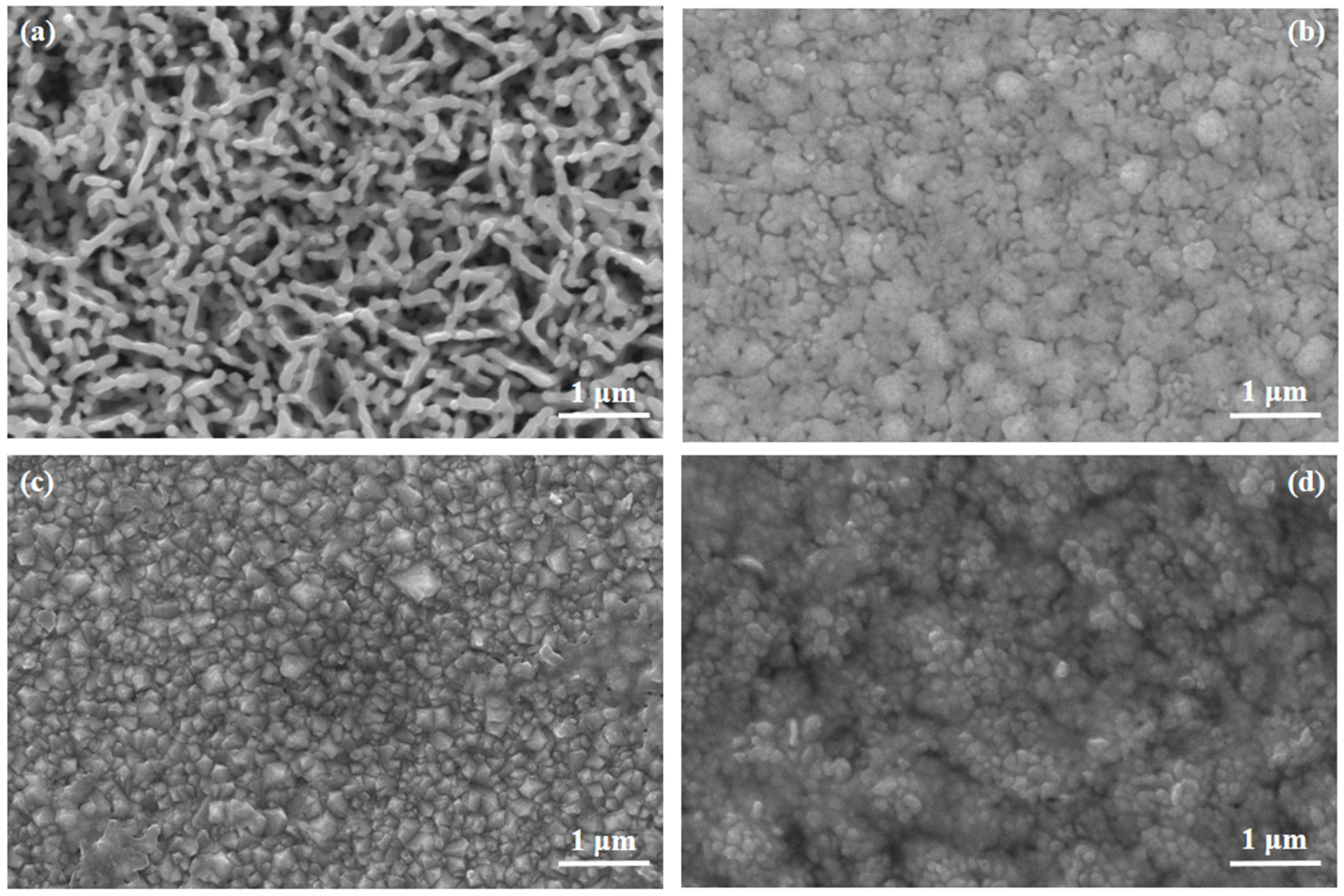 Catalysts 13 00144 g002 Catalysts 13 00144 g002