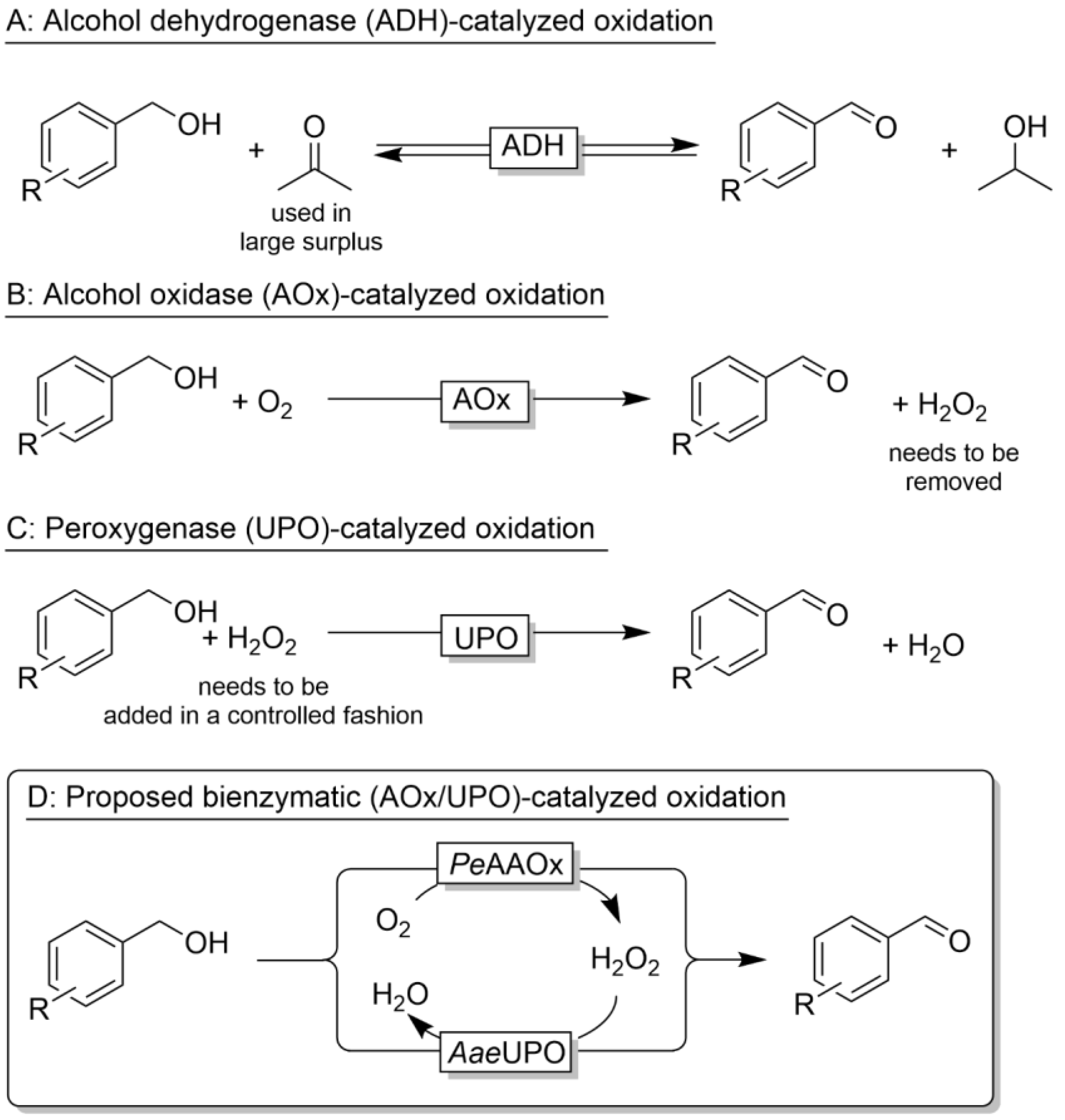 Catalysts 13 00145 sch001