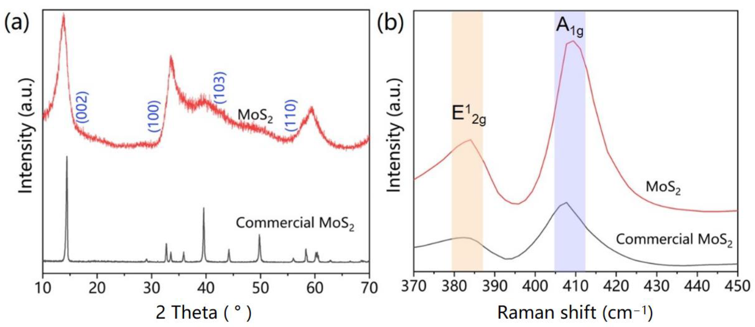 Catalysts 13 00147 g001