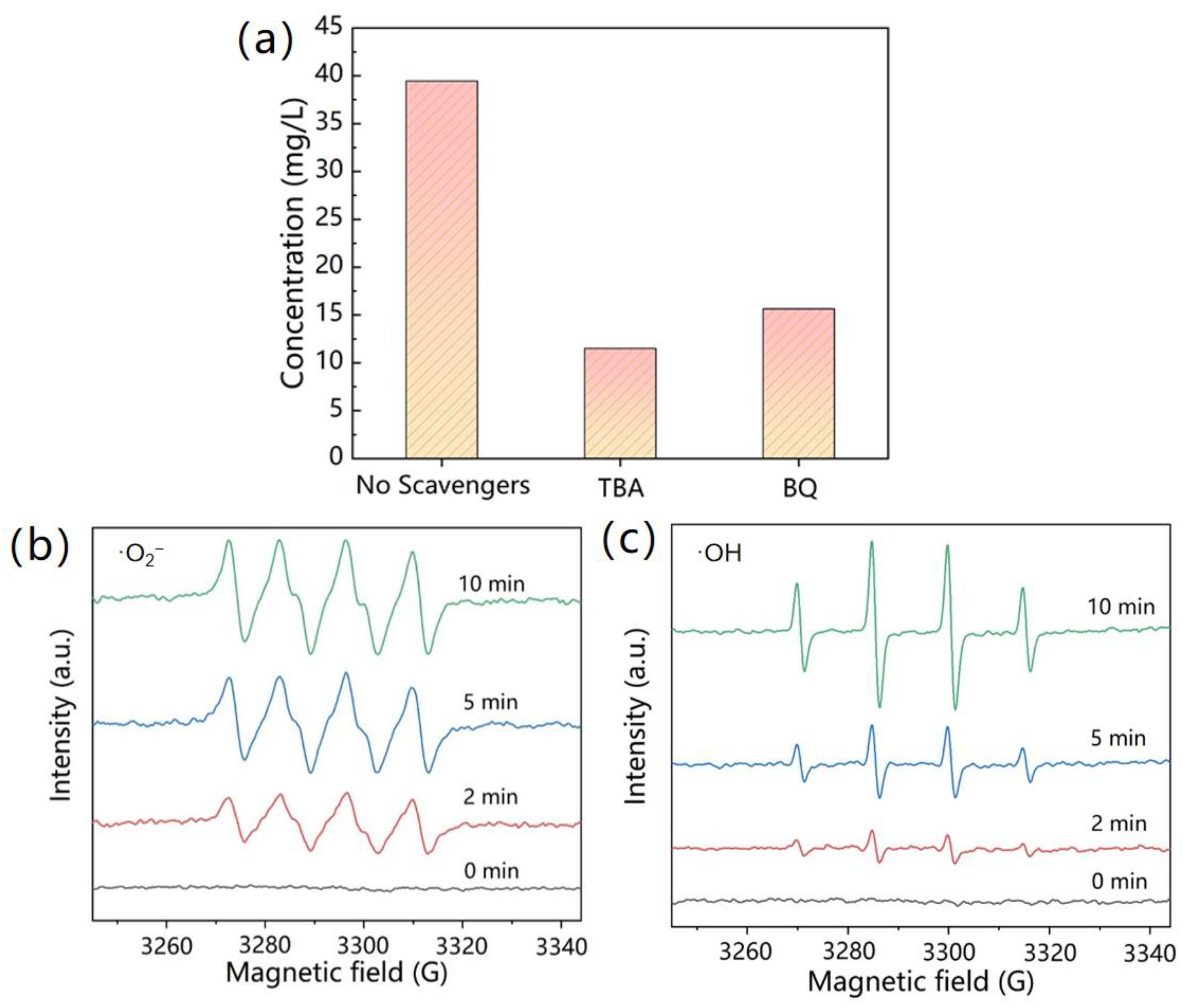 Catalysts 13 00147 g010