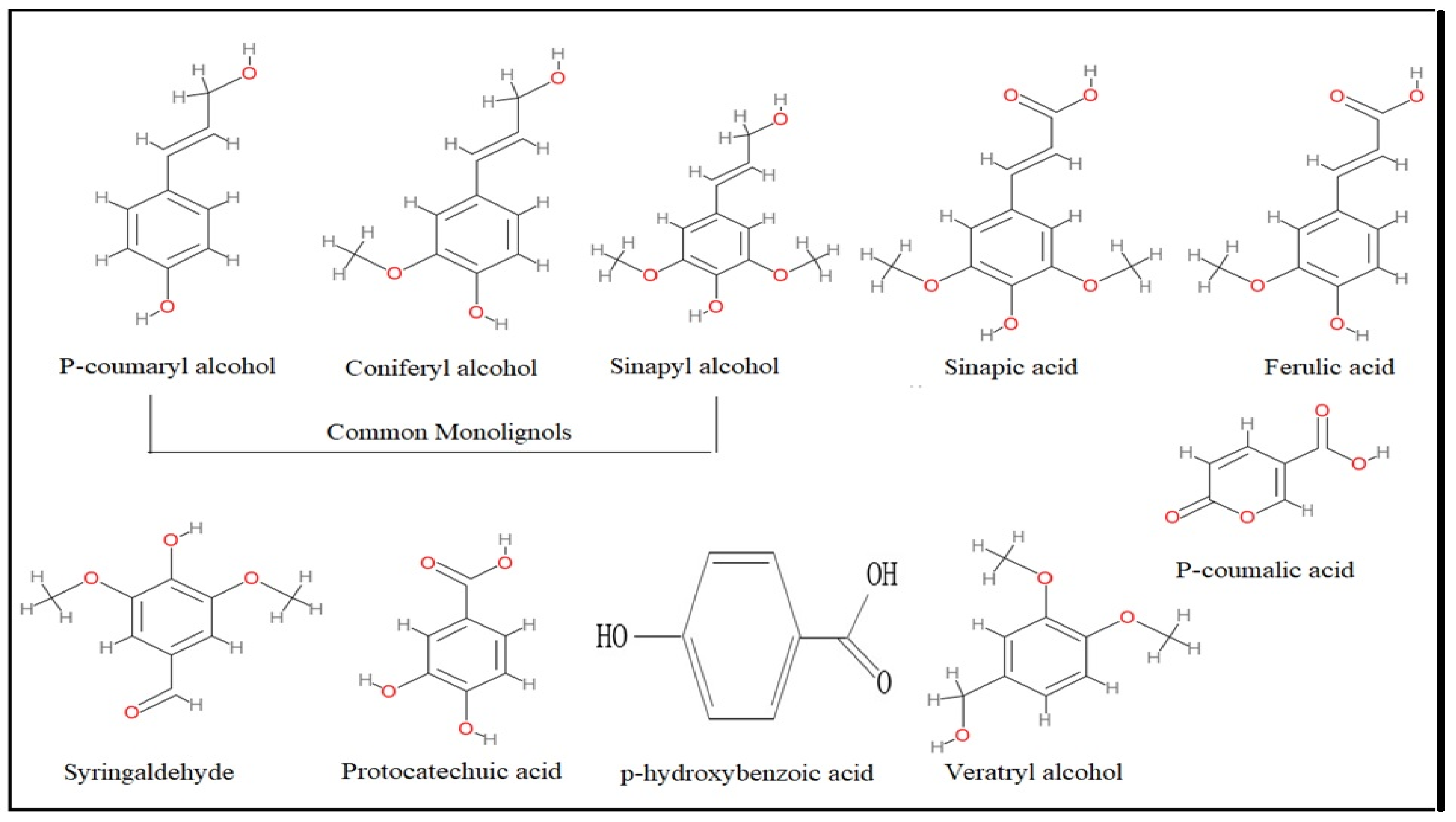 Catalysts 13 00149 g002 Catalysts 13 00149 g002