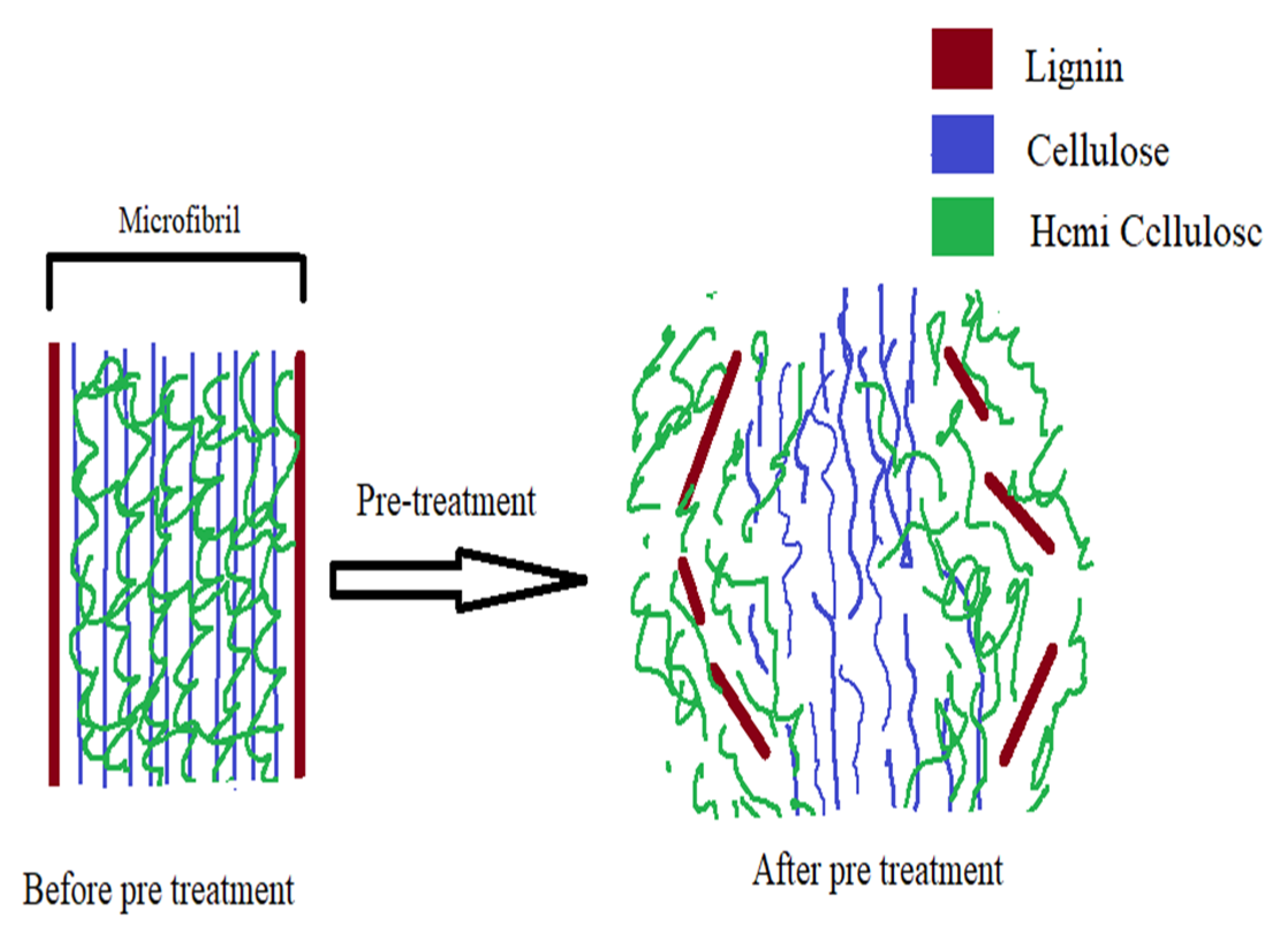 Catalysts 13 00149 g004 Catalysts 13 00149 g004