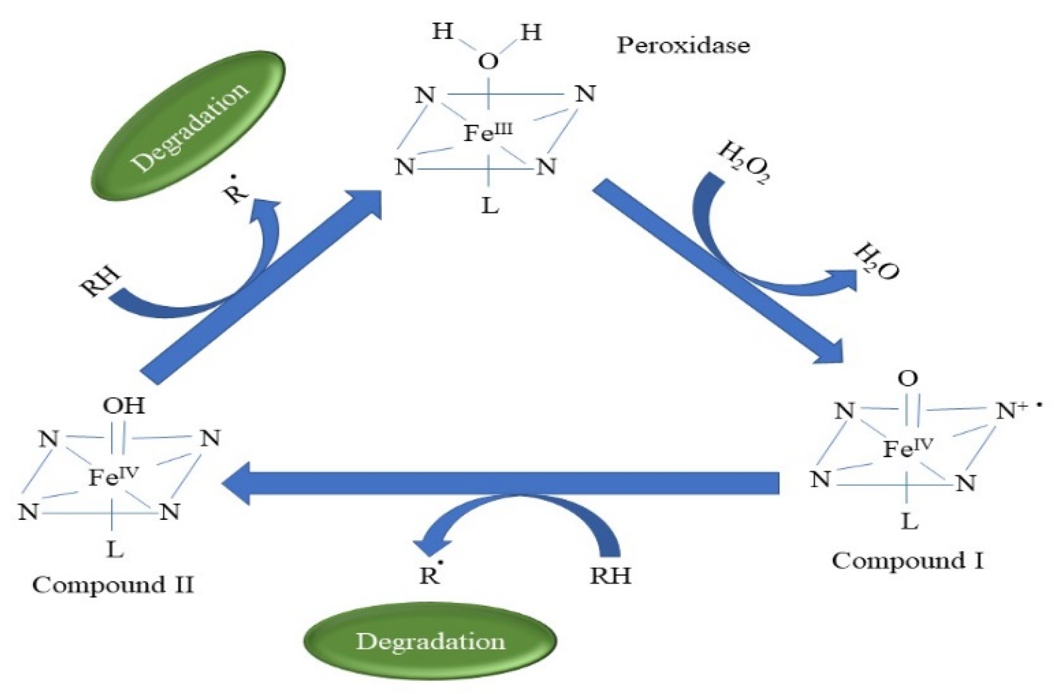 Catalysts 13 00149 g006 Catalysts 13 00149 g006