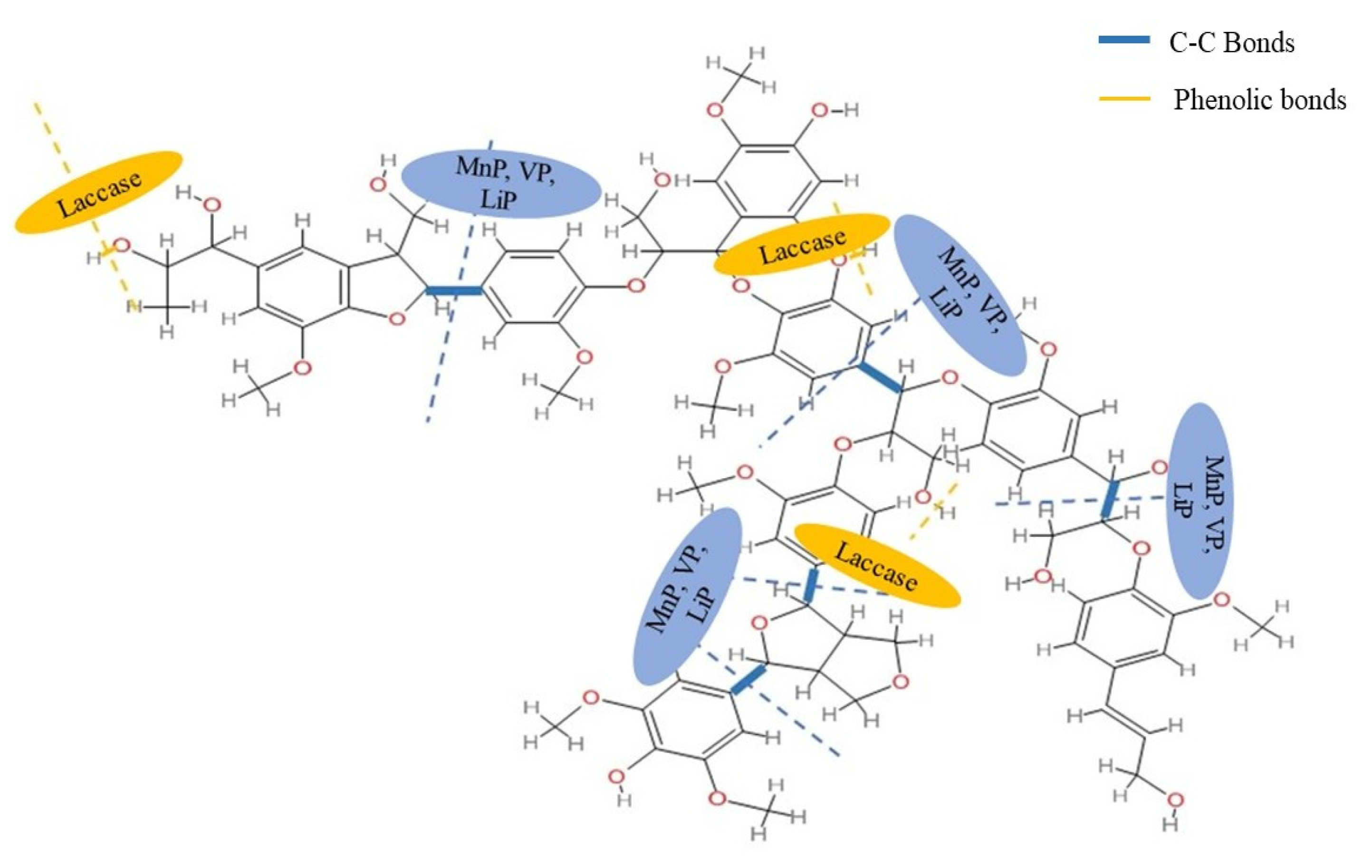 Catalysts 13 00149 g007 Catalysts 13 00149 g007