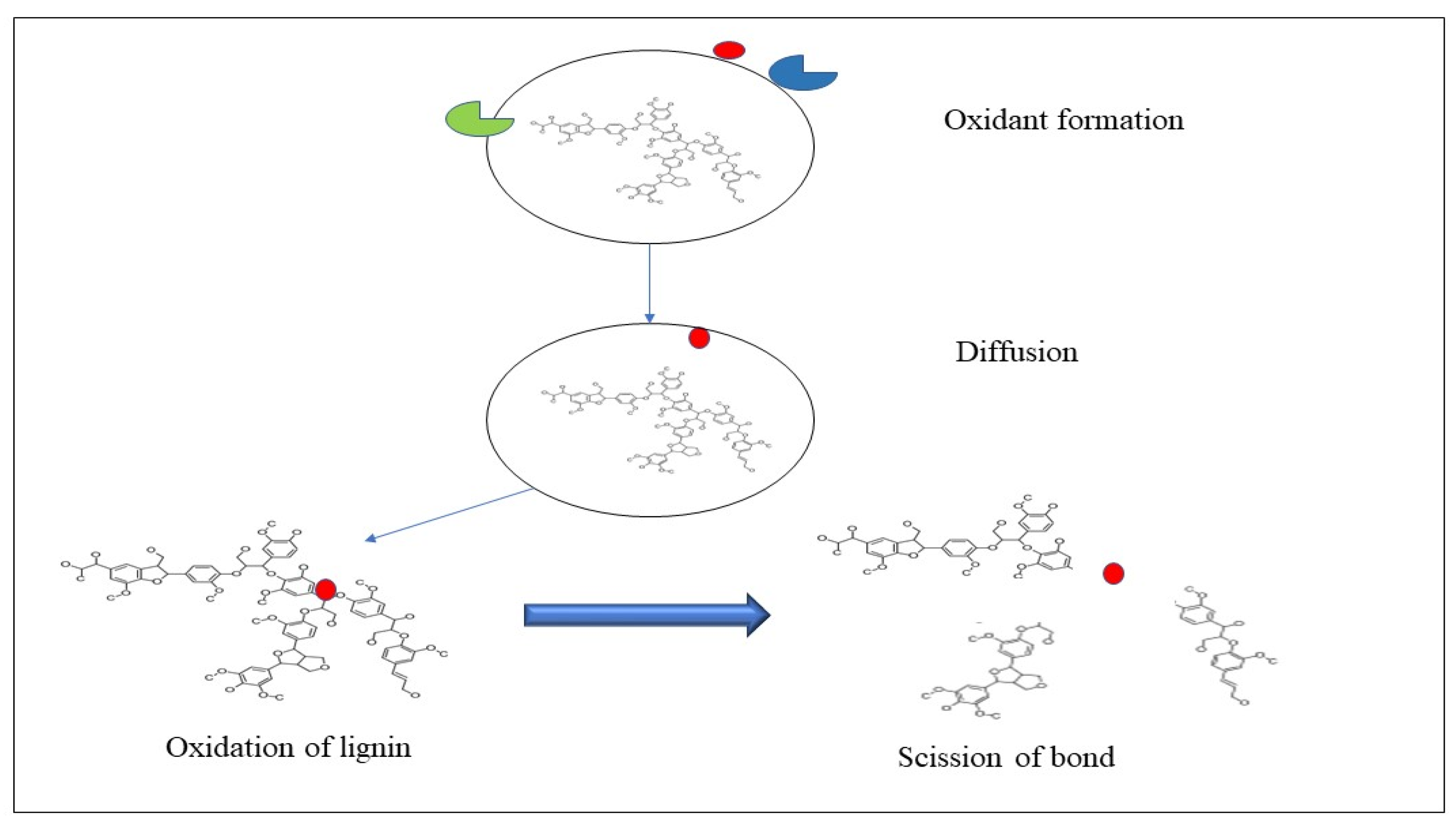 Catalysts 13 00149 g009 Catalysts 13 00149 g009