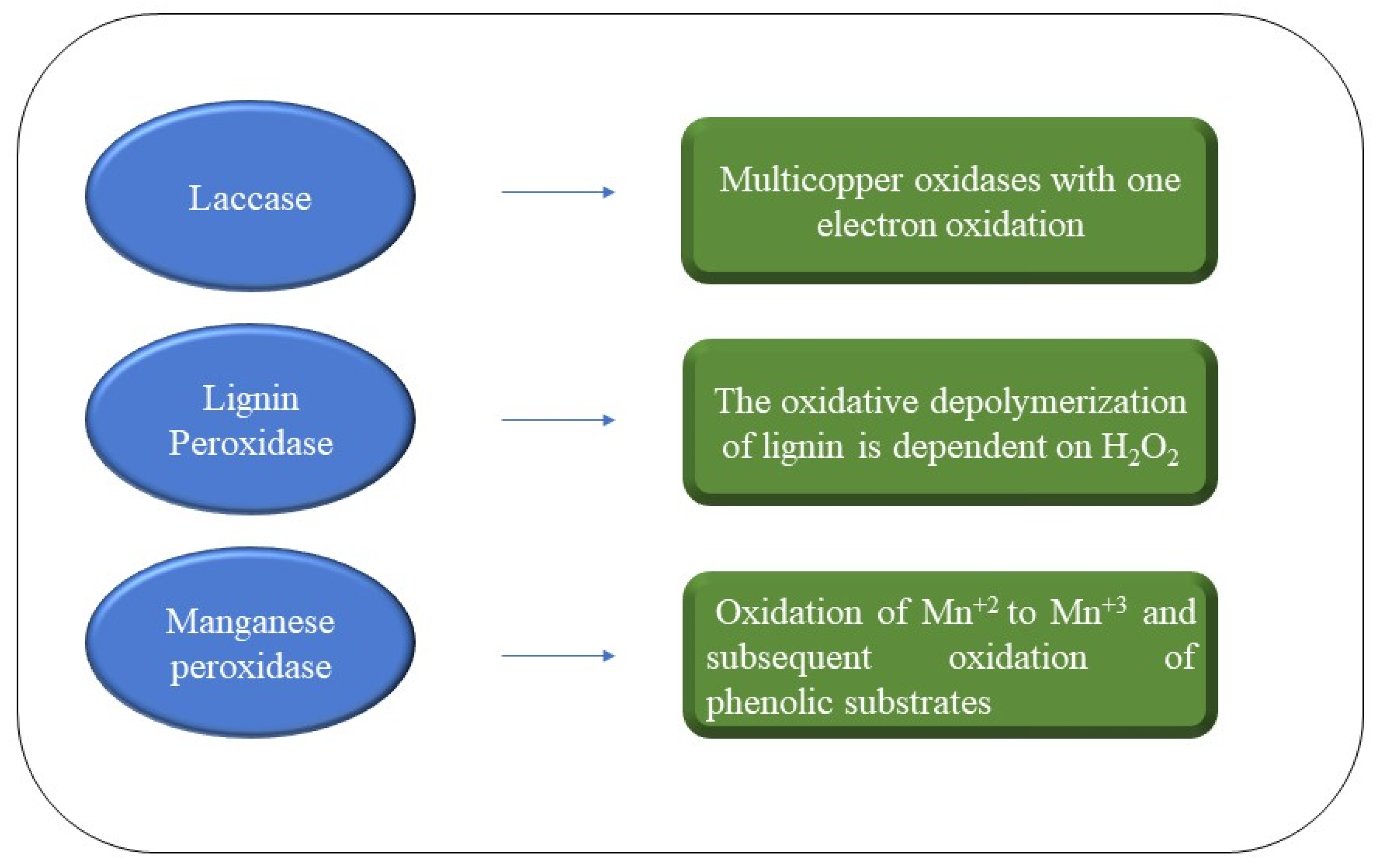 Catalysts 13 00149 g010 Catalysts 13 00149 g010