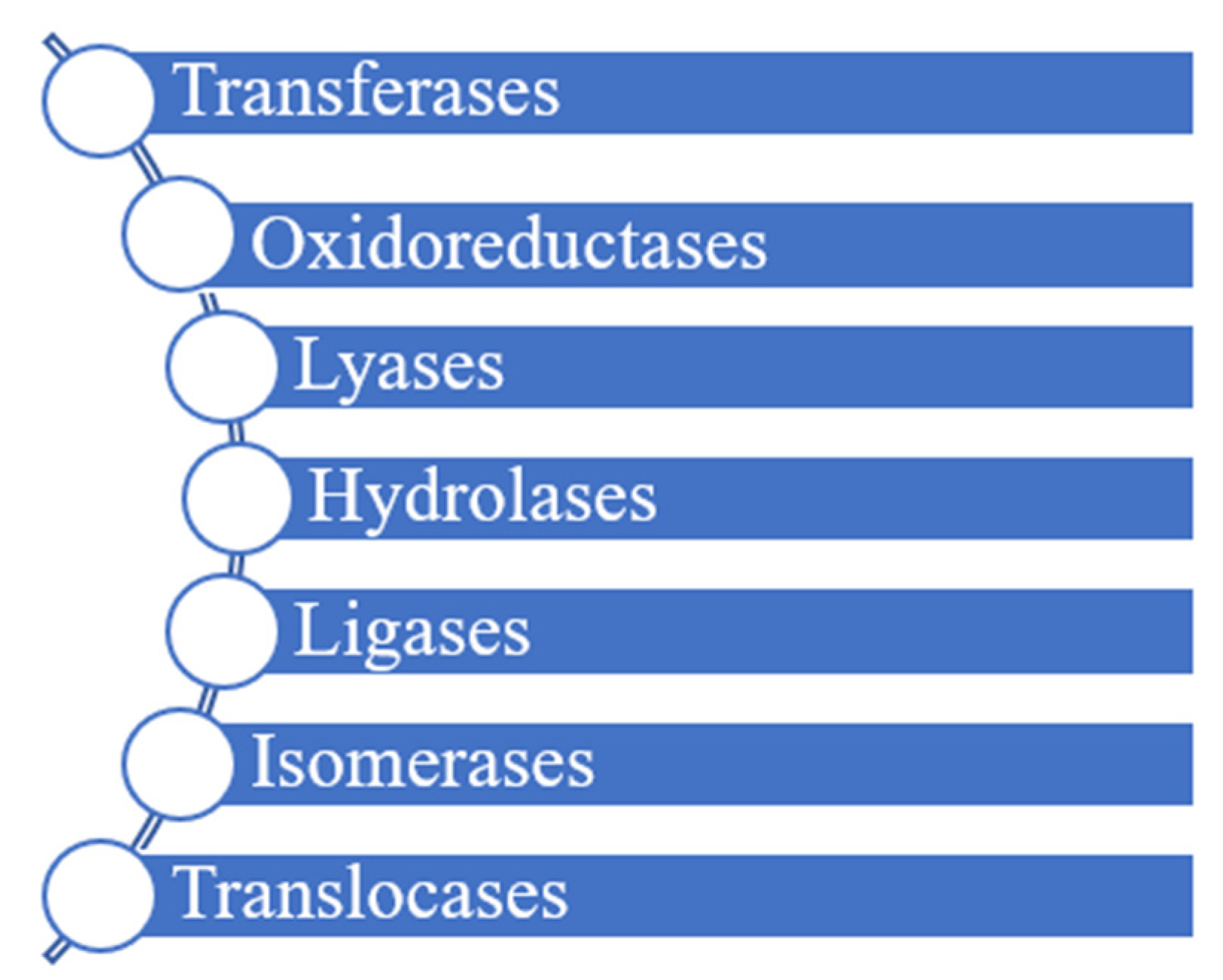Catalysts 13 00149 g011 Catalysts 13 00149 g011