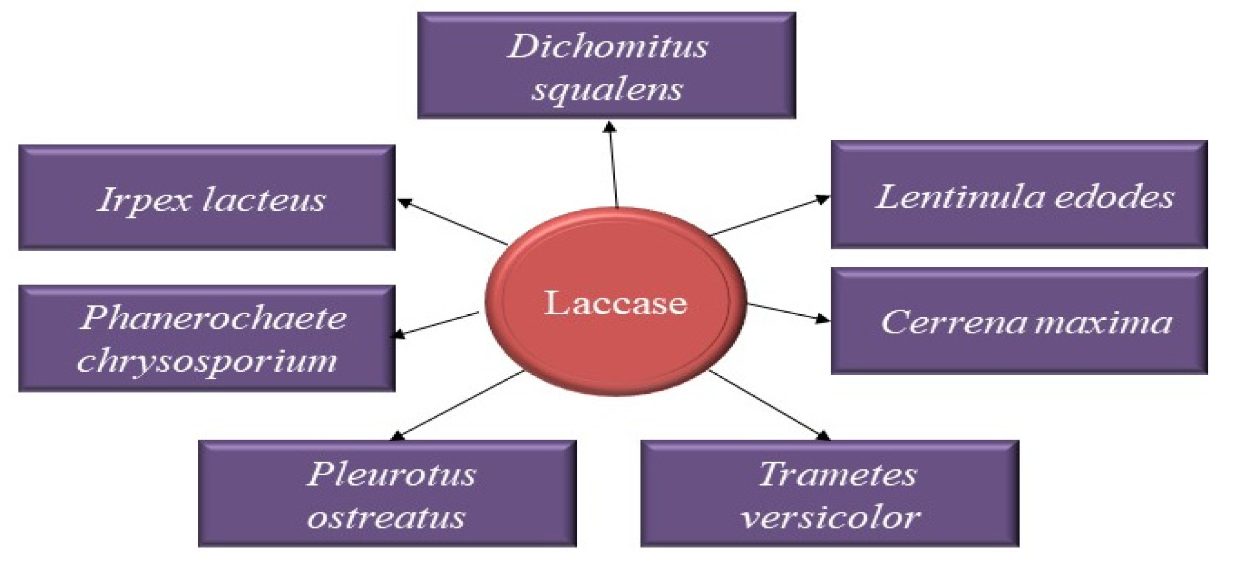 Catalysts 13 00149 g012 Catalysts 13 00149 g012