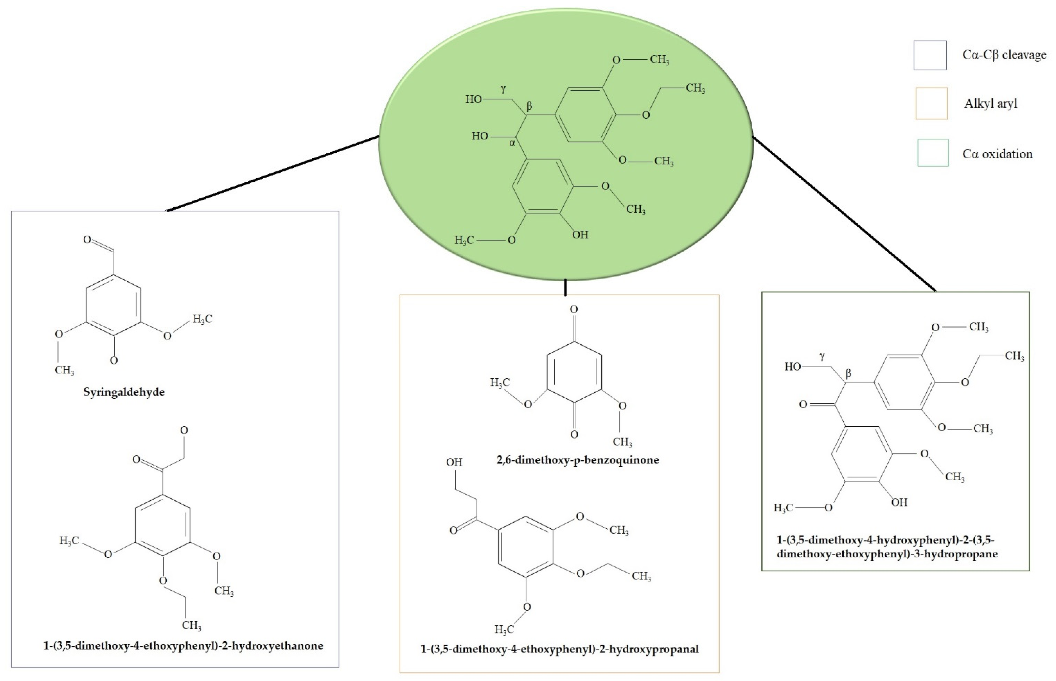 Catalysts 13 00149 g013 Catalysts 13 00149 g013
