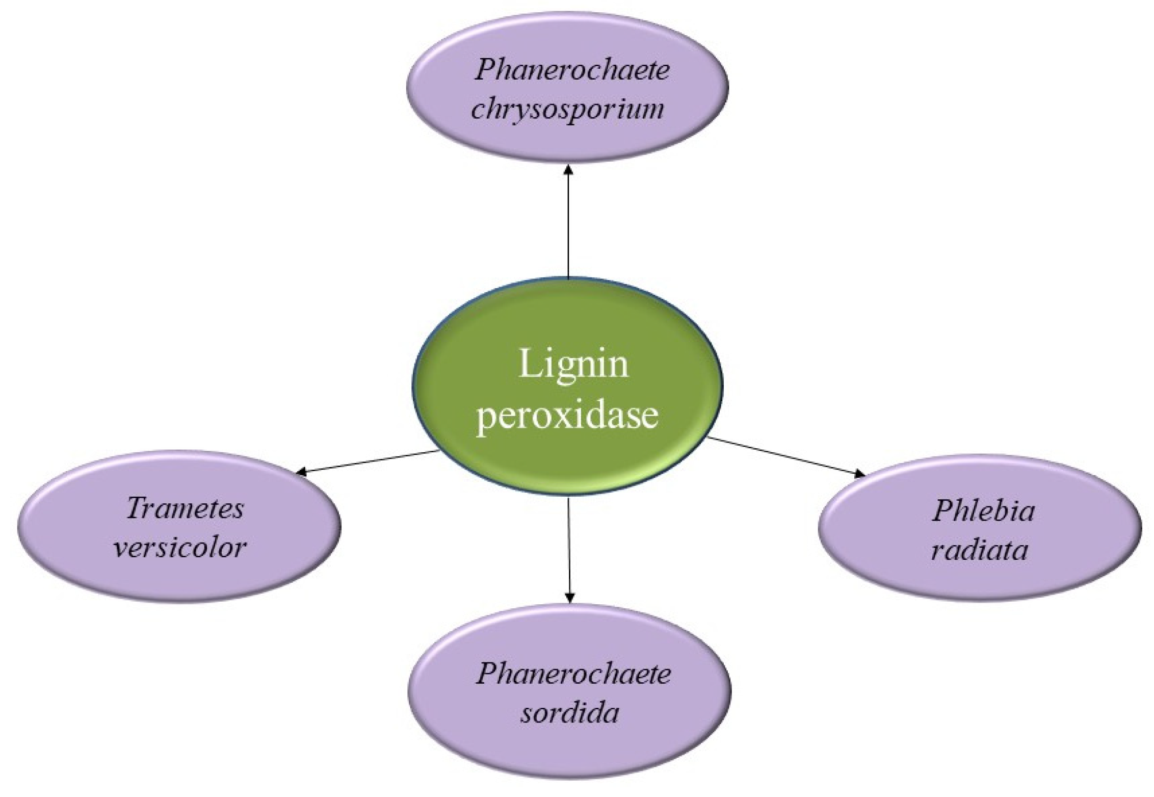Catalysts 13 00149 g014 Catalysts 13 00149 g014