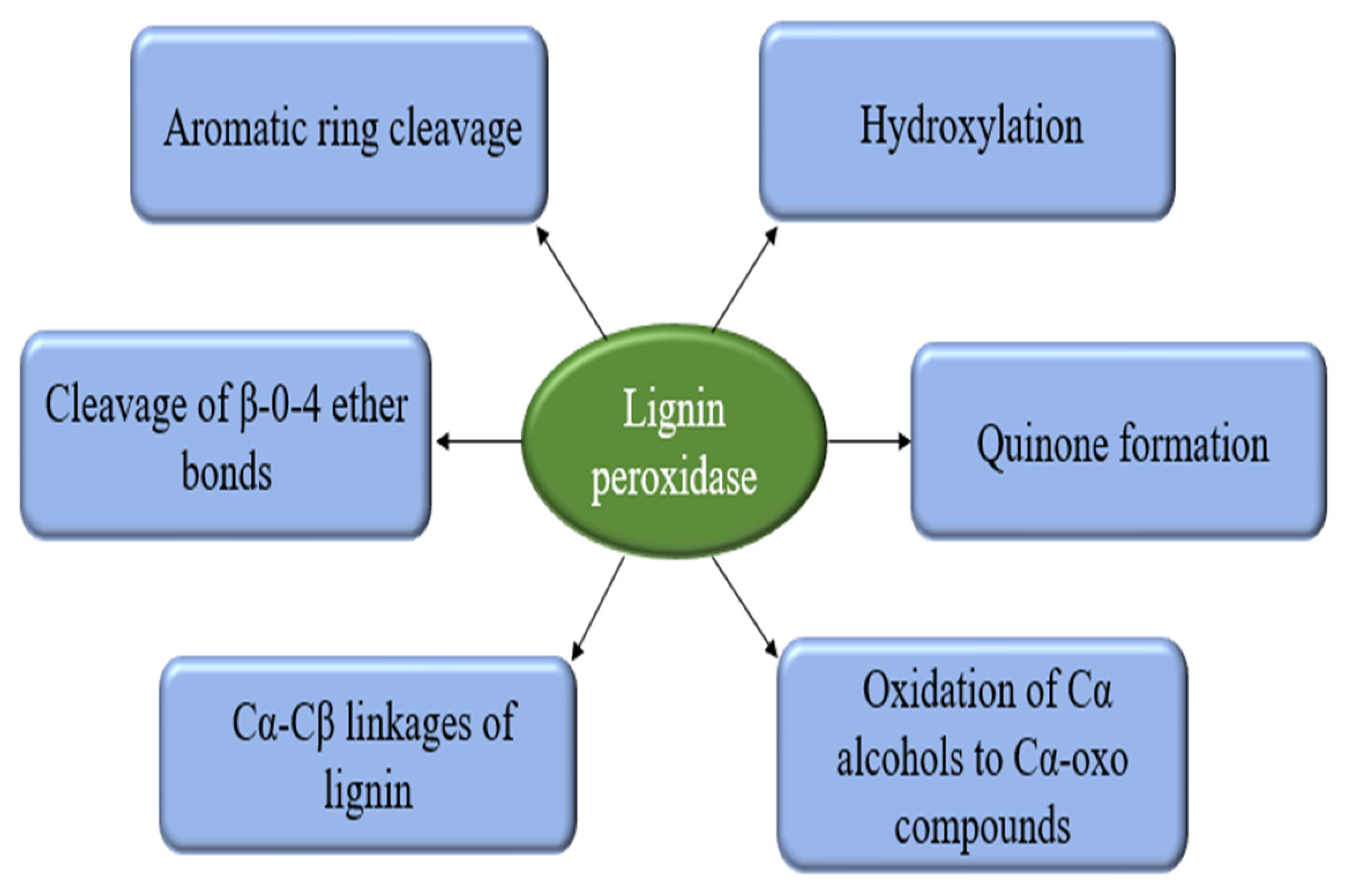 Catalysts 13 00149 g015 Catalysts 13 00149 g015