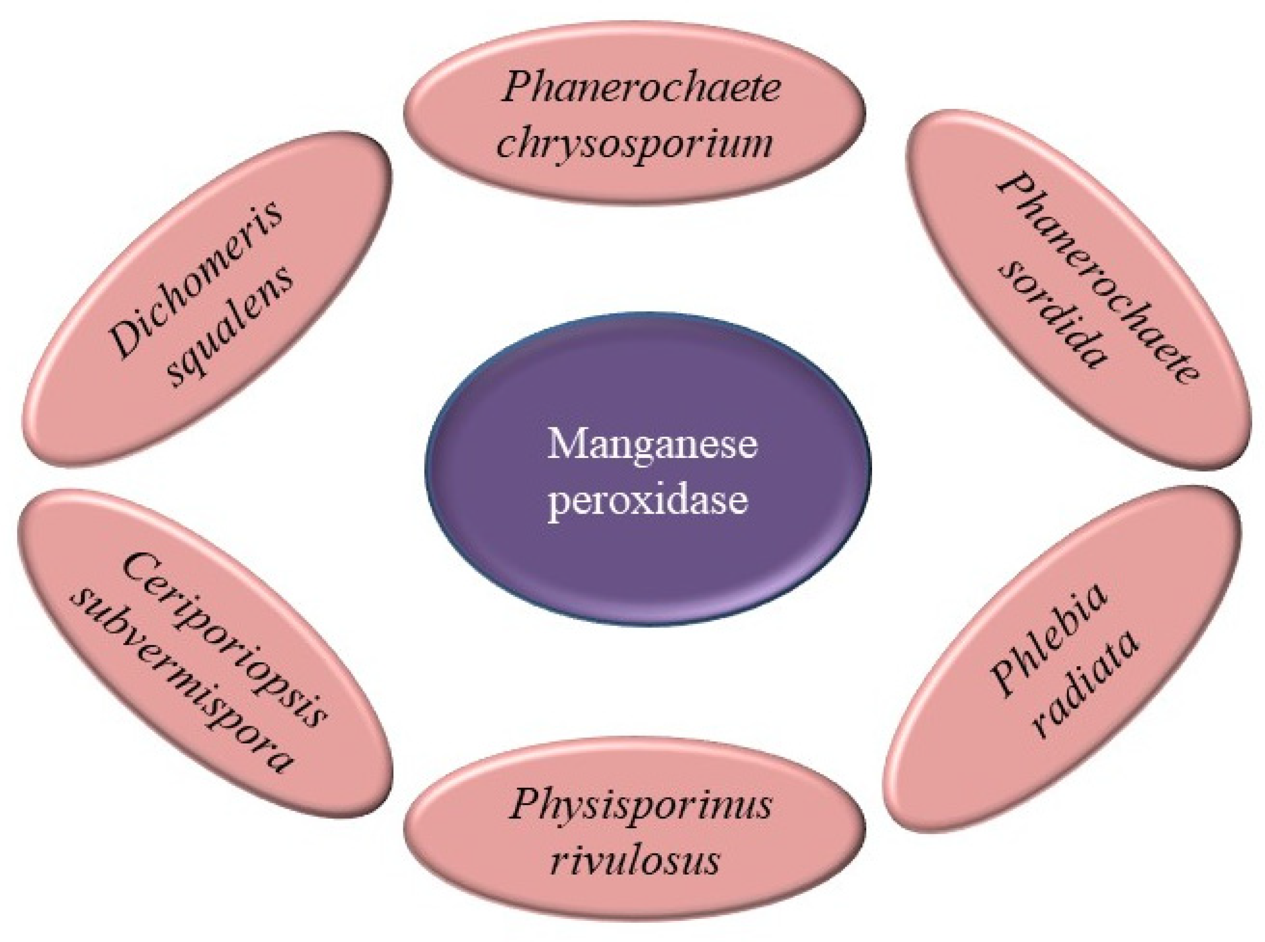 Catalysts 13 00149 g016 Catalysts 13 00149 g016