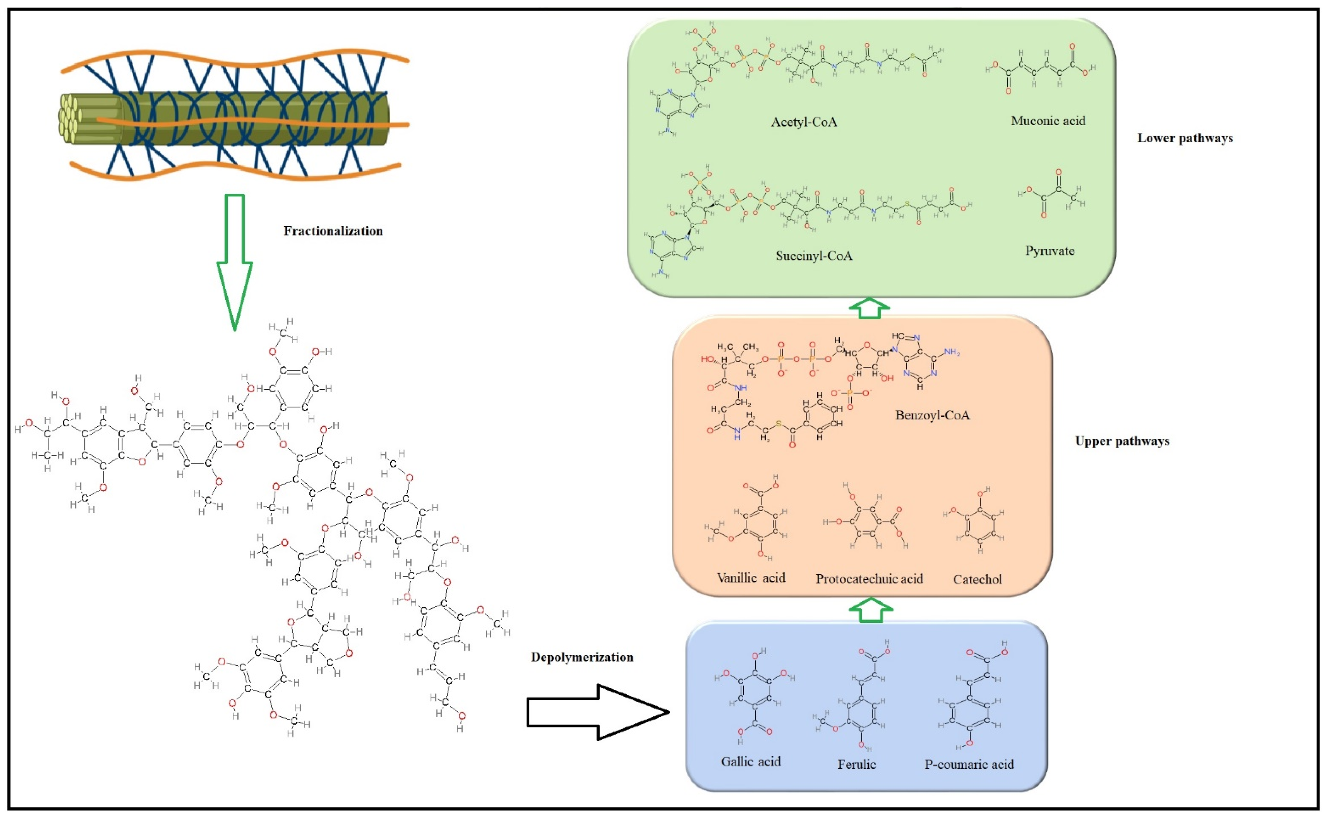 Catalysts 13 00149 g017 Catalysts 13 00149 g017