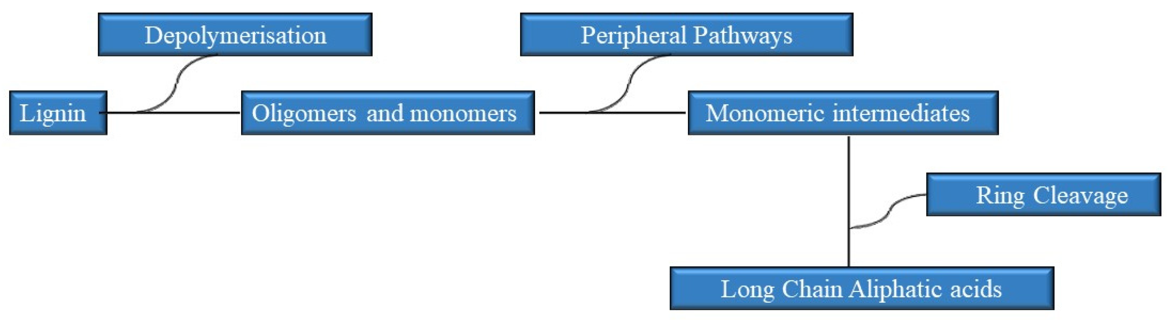 Catalysts 13 00149 g019 Catalysts 13 00149 g019