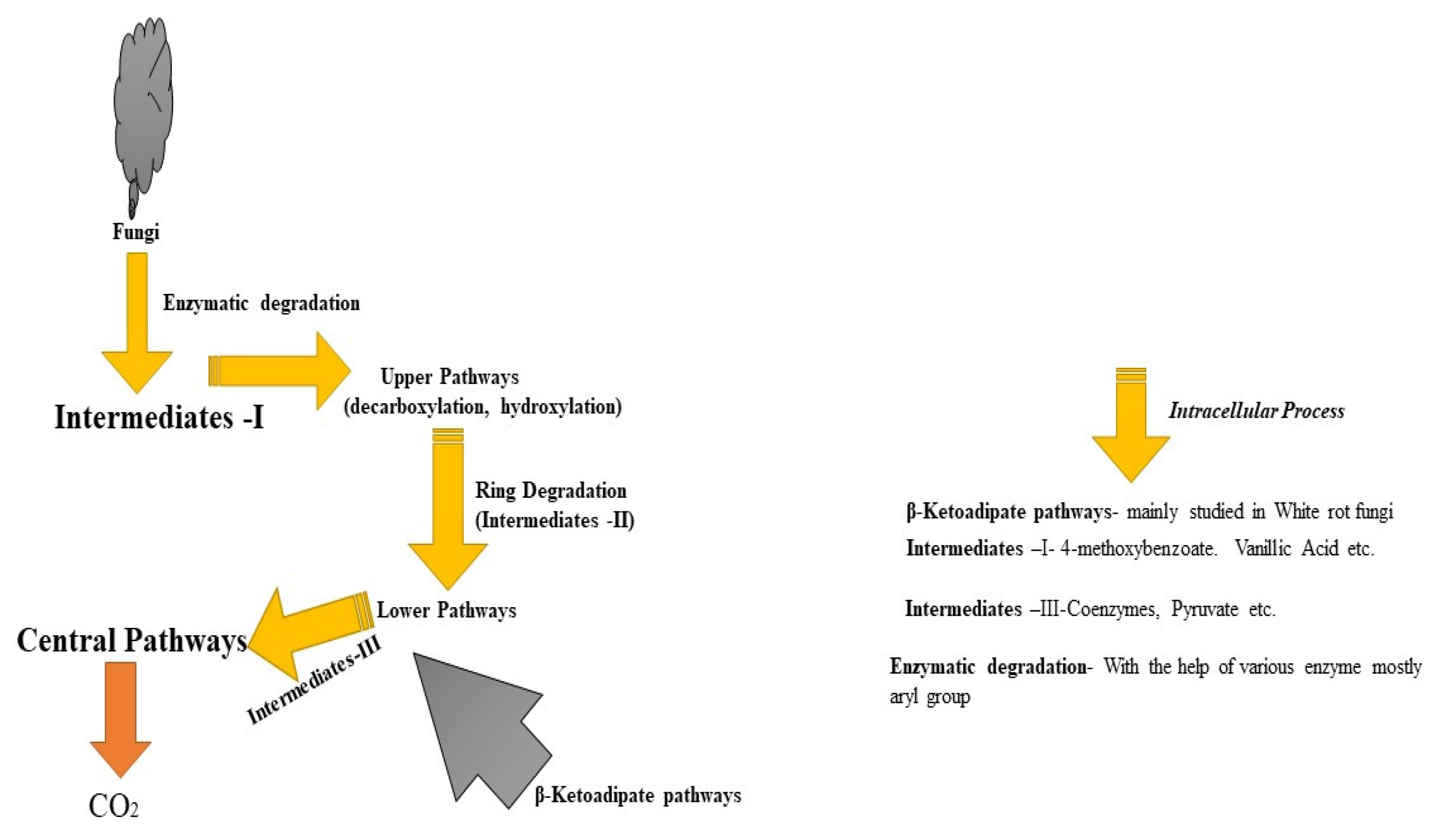 Catalysts 13 00149 g020 Catalysts 13 00149 g020