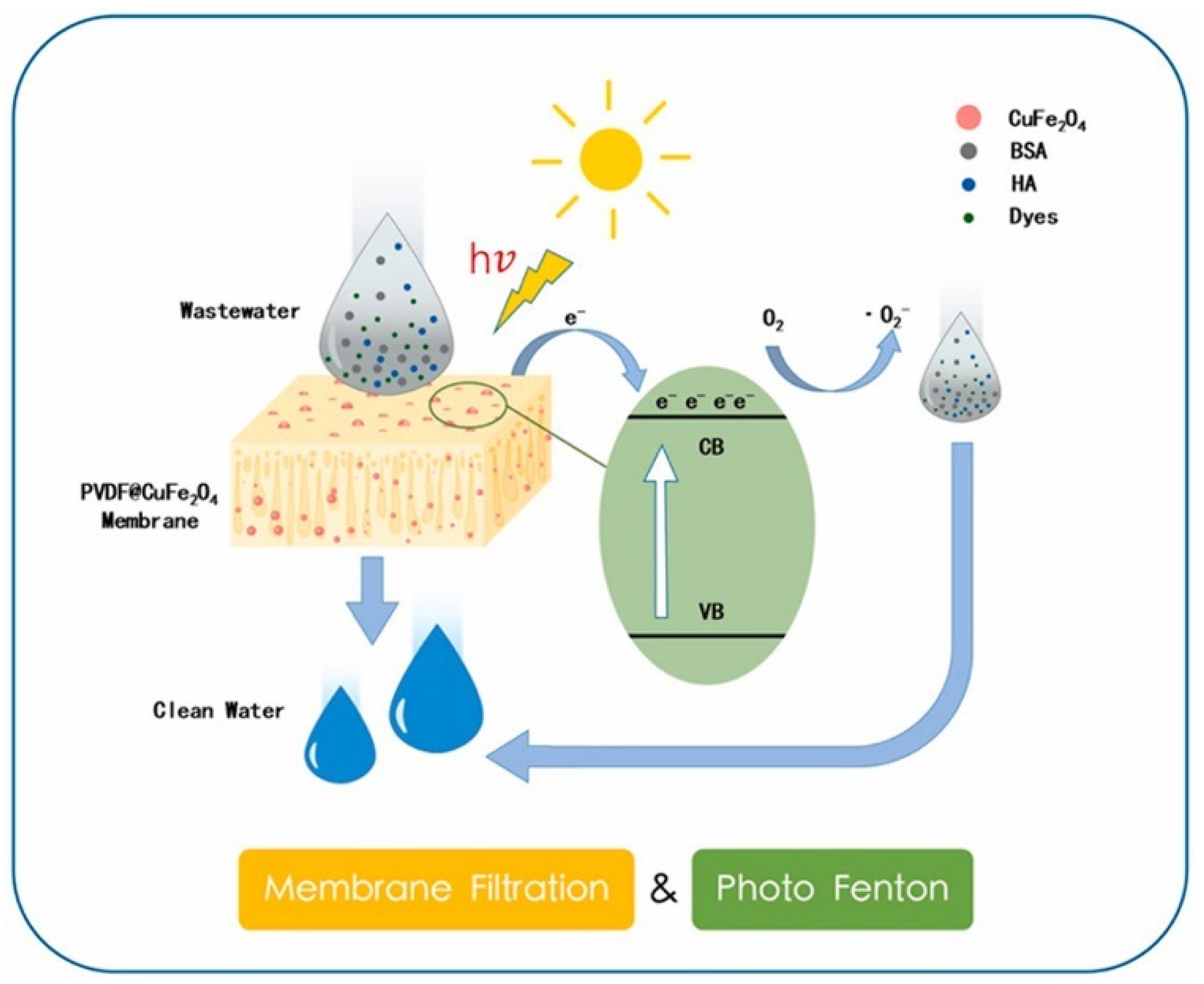 Catalysts 13 00159 g003 Catalysts 13 00159 g003