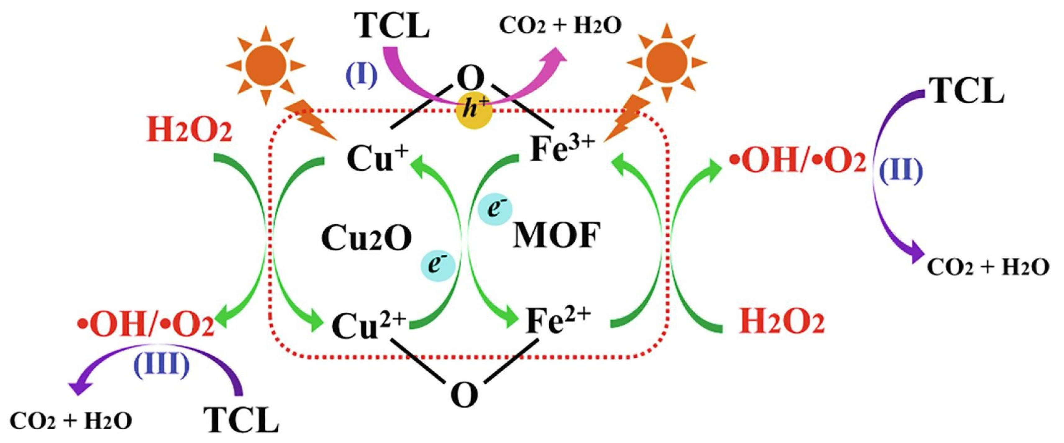 Catalysts 13 00159 g010 Catalysts 13 00159 g010