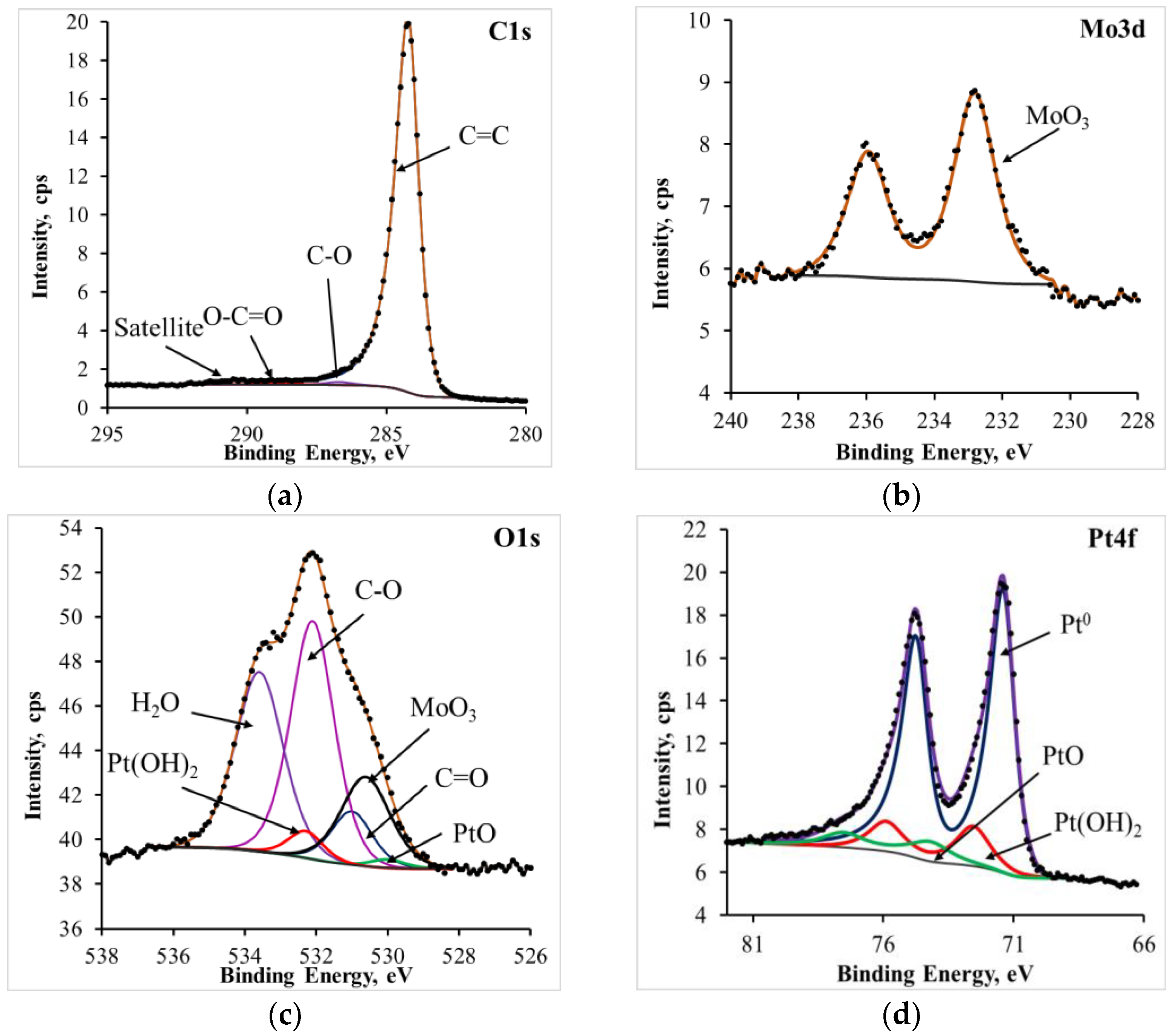 Catalysts 13 00161 g002