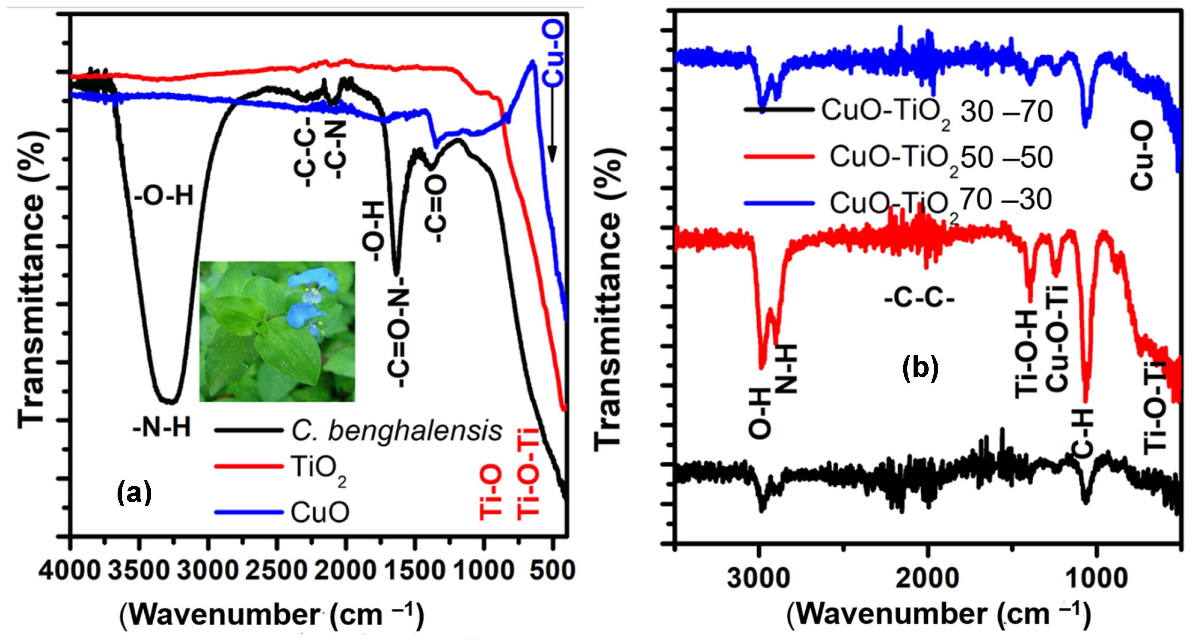 Catalysts 13 00163 g001 Catalysts 13 00163 g001
