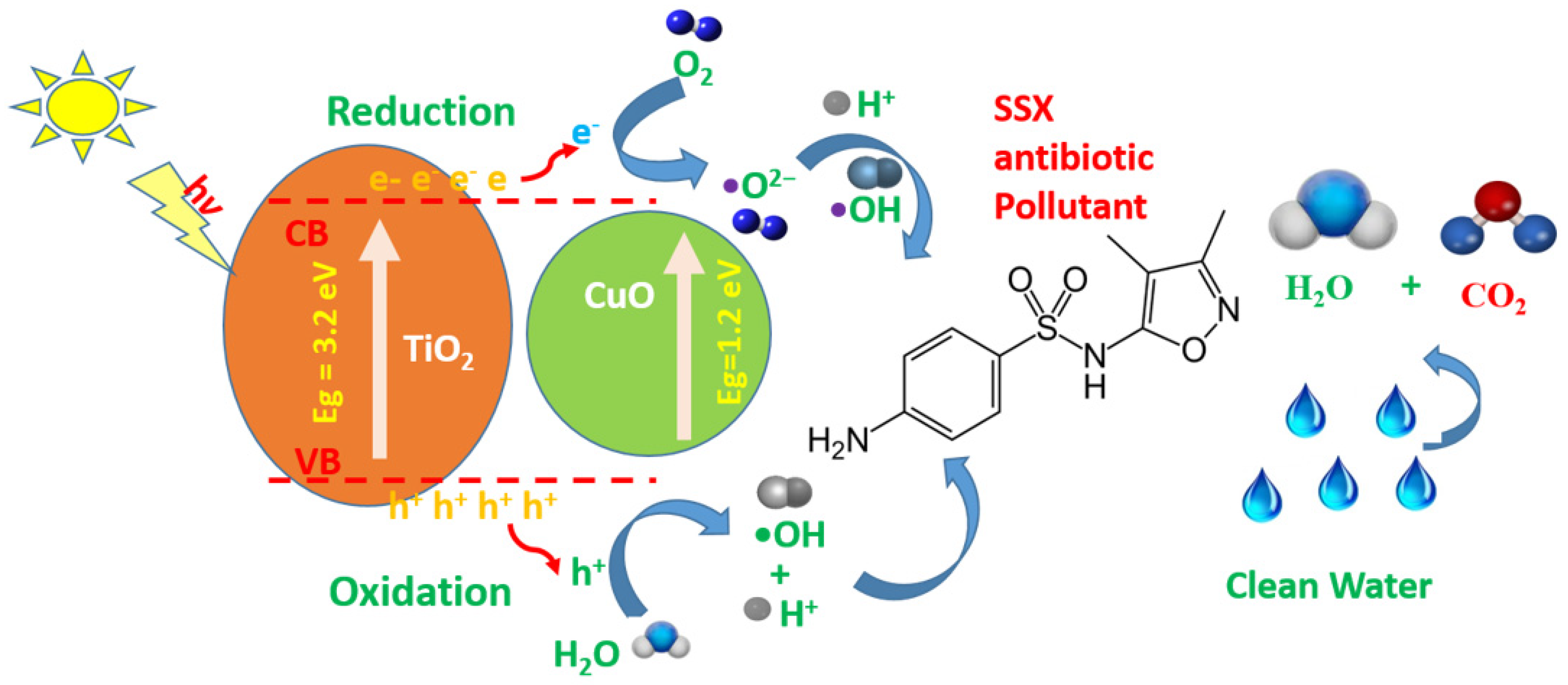 Catalysts 13 00163 sch001 Catalysts 13 00163 sch001