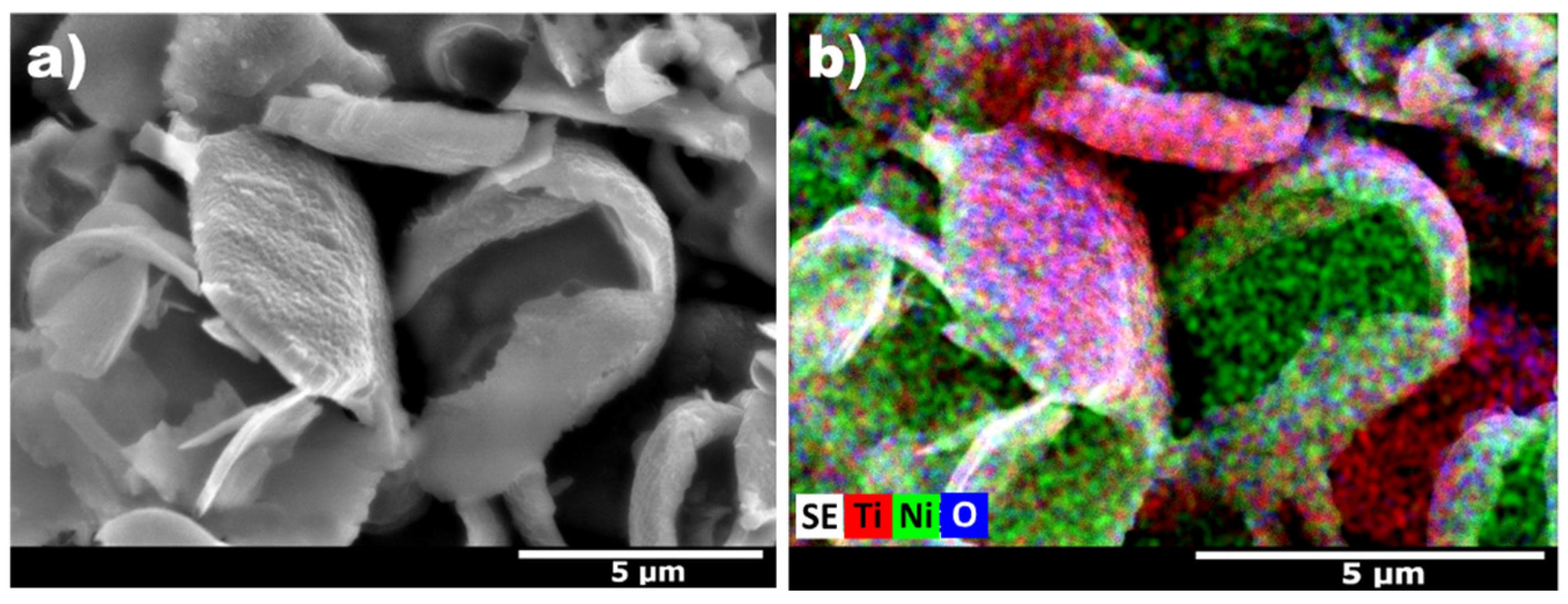 Catalysts 13 00169 g009 Catalysts 13 00169 g009