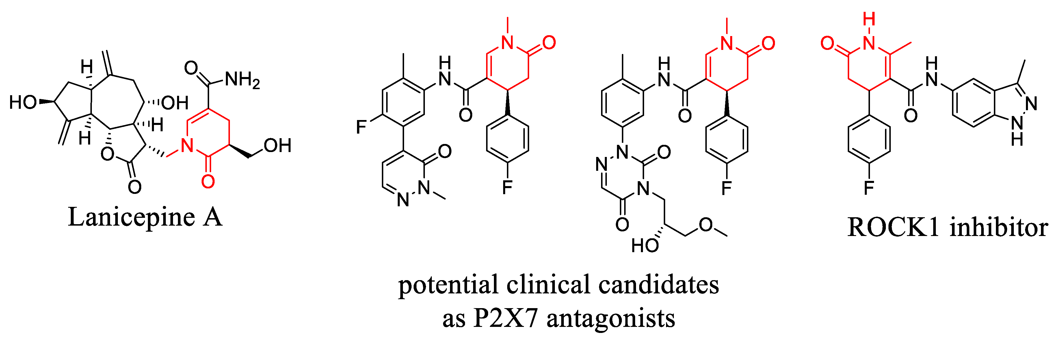 Catalysts 13 00170 g001