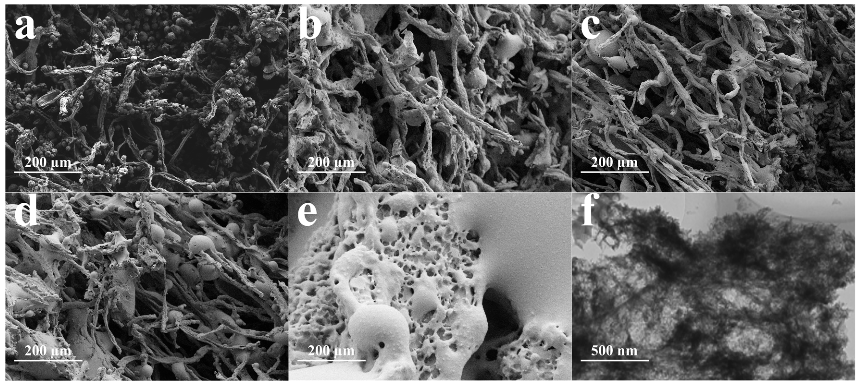 Catalysts 13 00172 g004