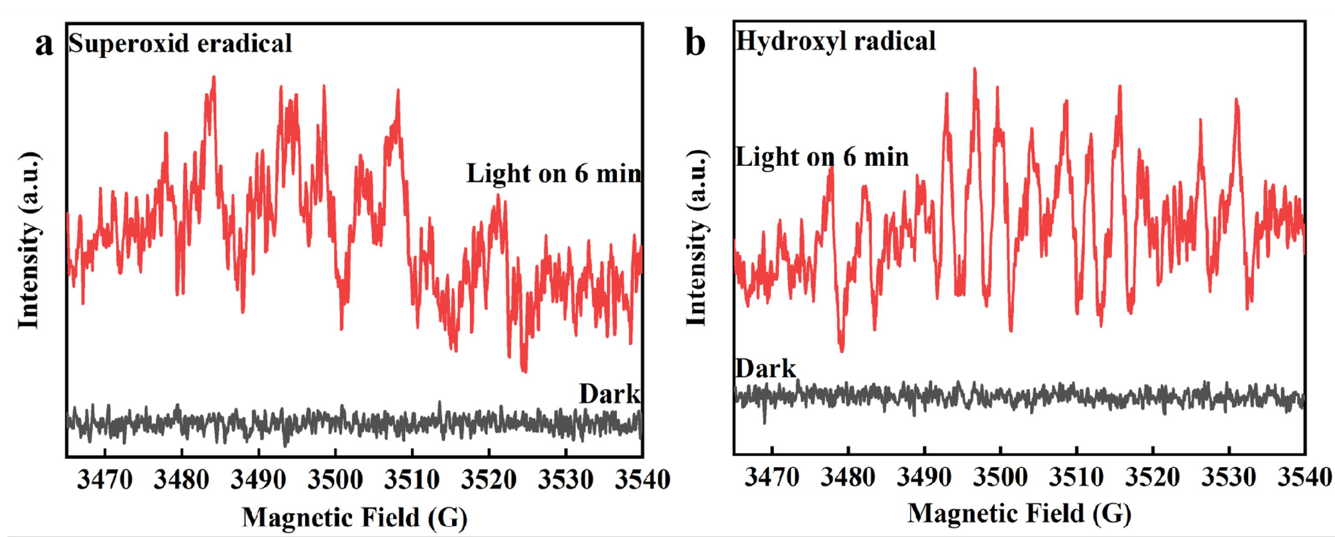 Catalysts 13 00172 g006