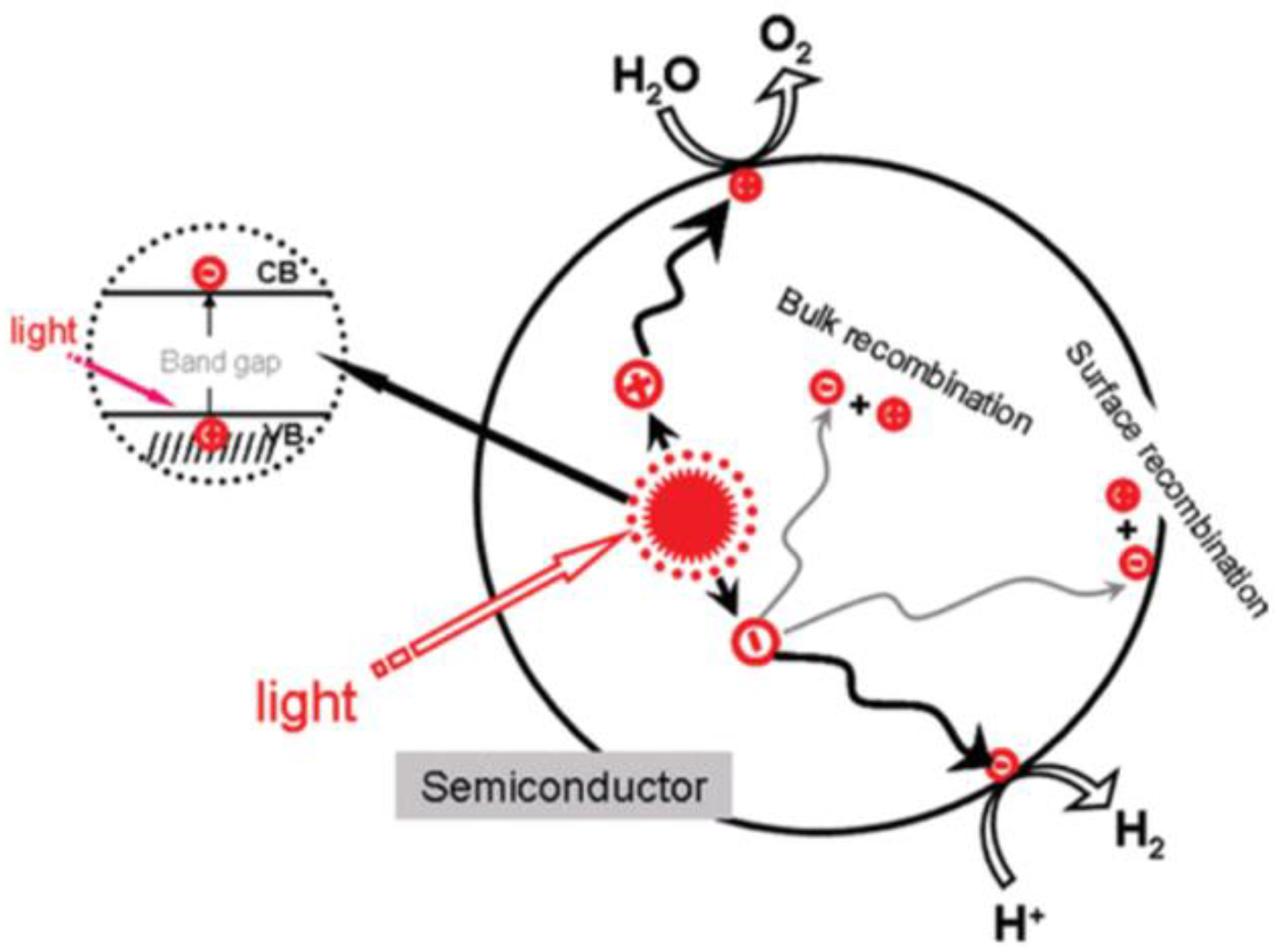 Catalysts 13 00179 g004 Catalysts 13 00179 g004