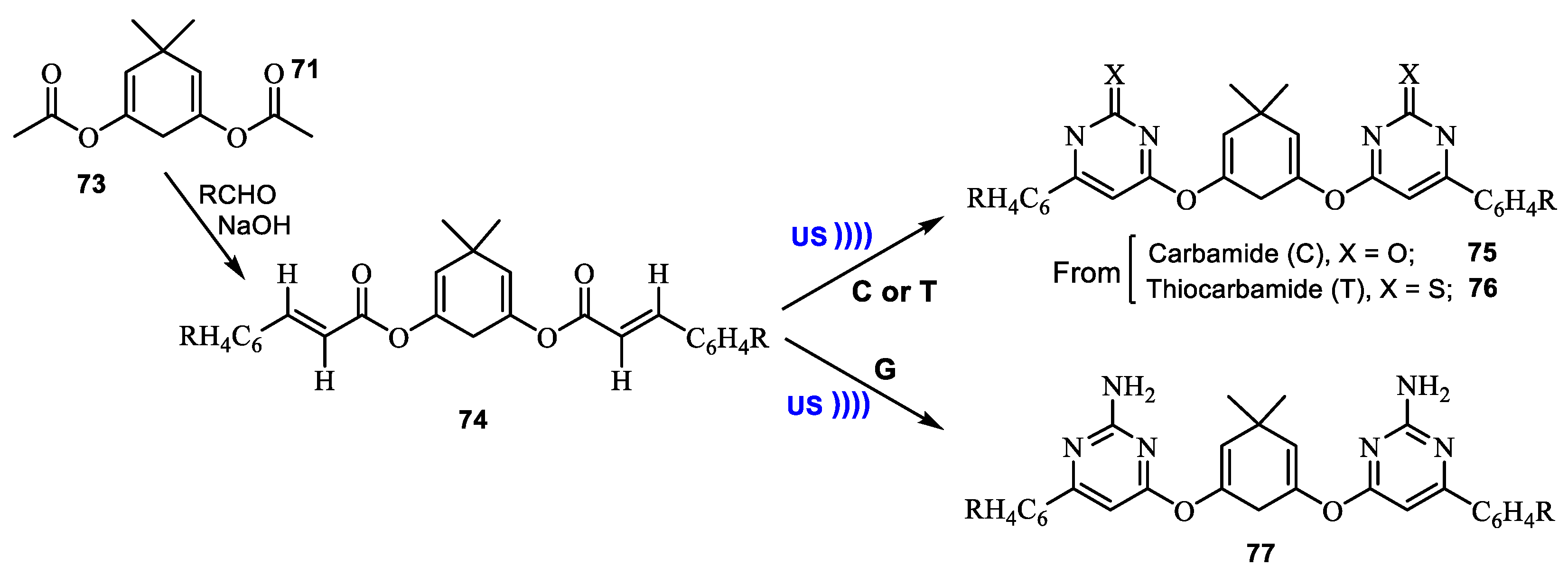 Catalysts 13 00180 sch021