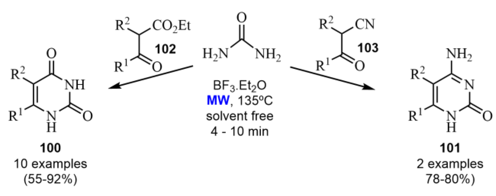 Catalysts 13 00180 sch029