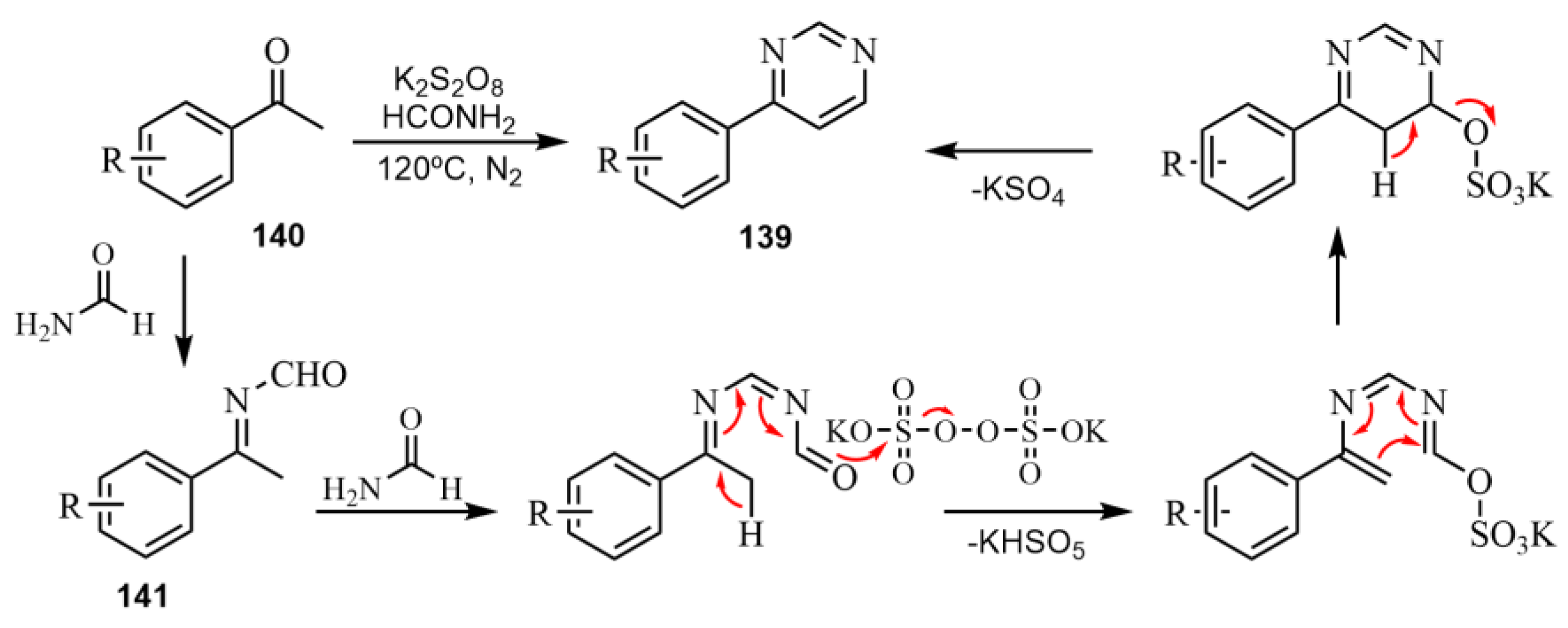 Catalysts 13 00180 sch044