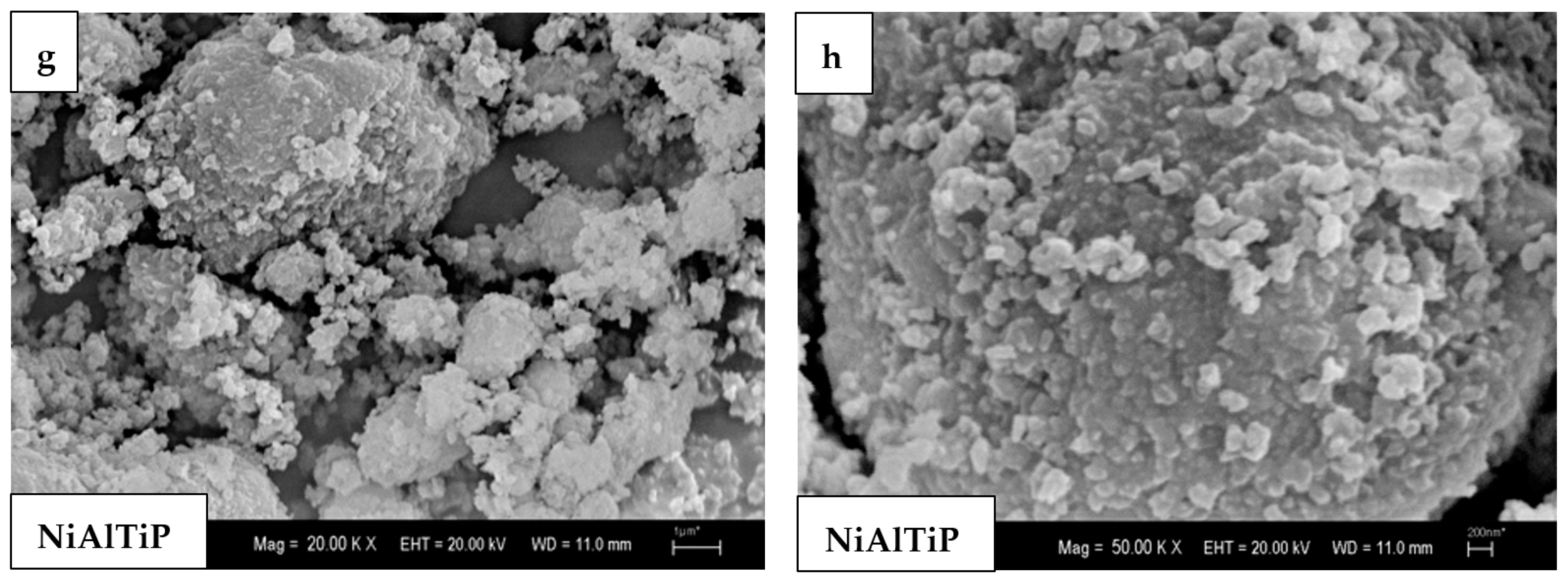 Catalysts 13 00185 g004b Catalysts 13 00185 g004b