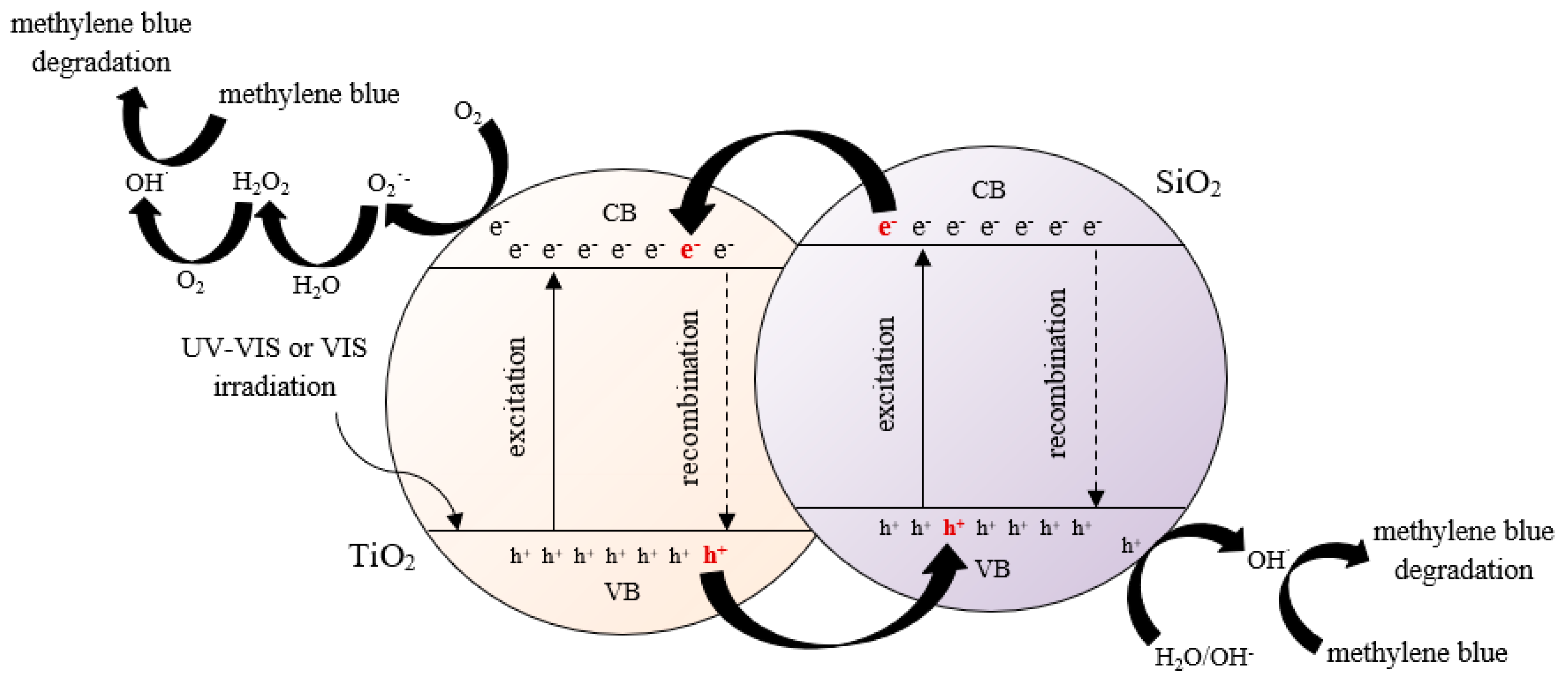 Catalysts 13 00186 g011