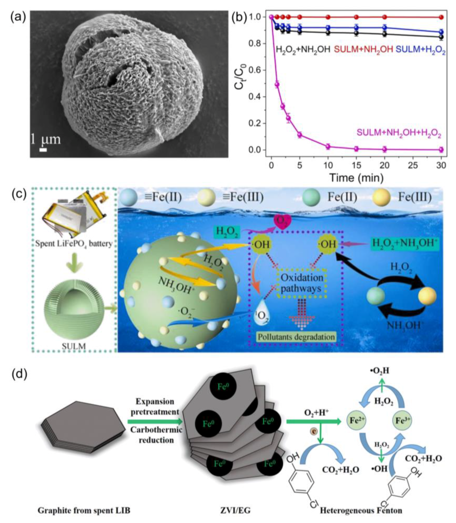 Catalysts 13 00189 g006
